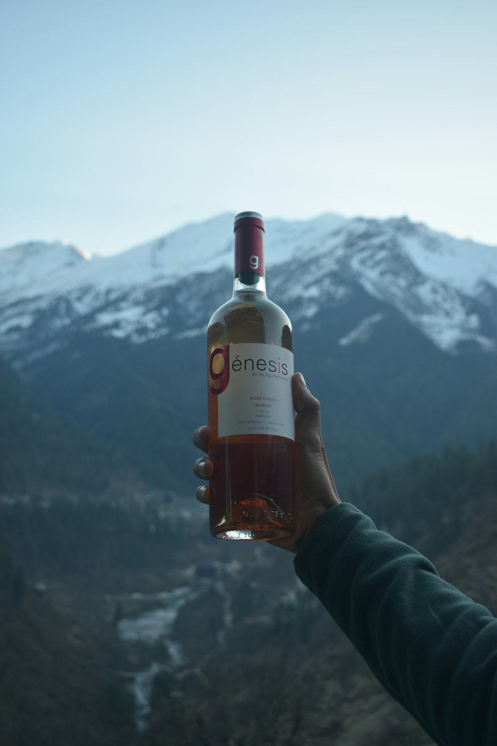 a person holding a bottle of wine in front of a mountain