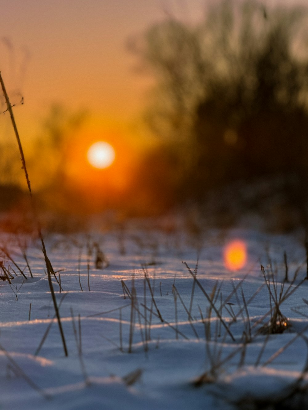 the sun is setting over a snowy field