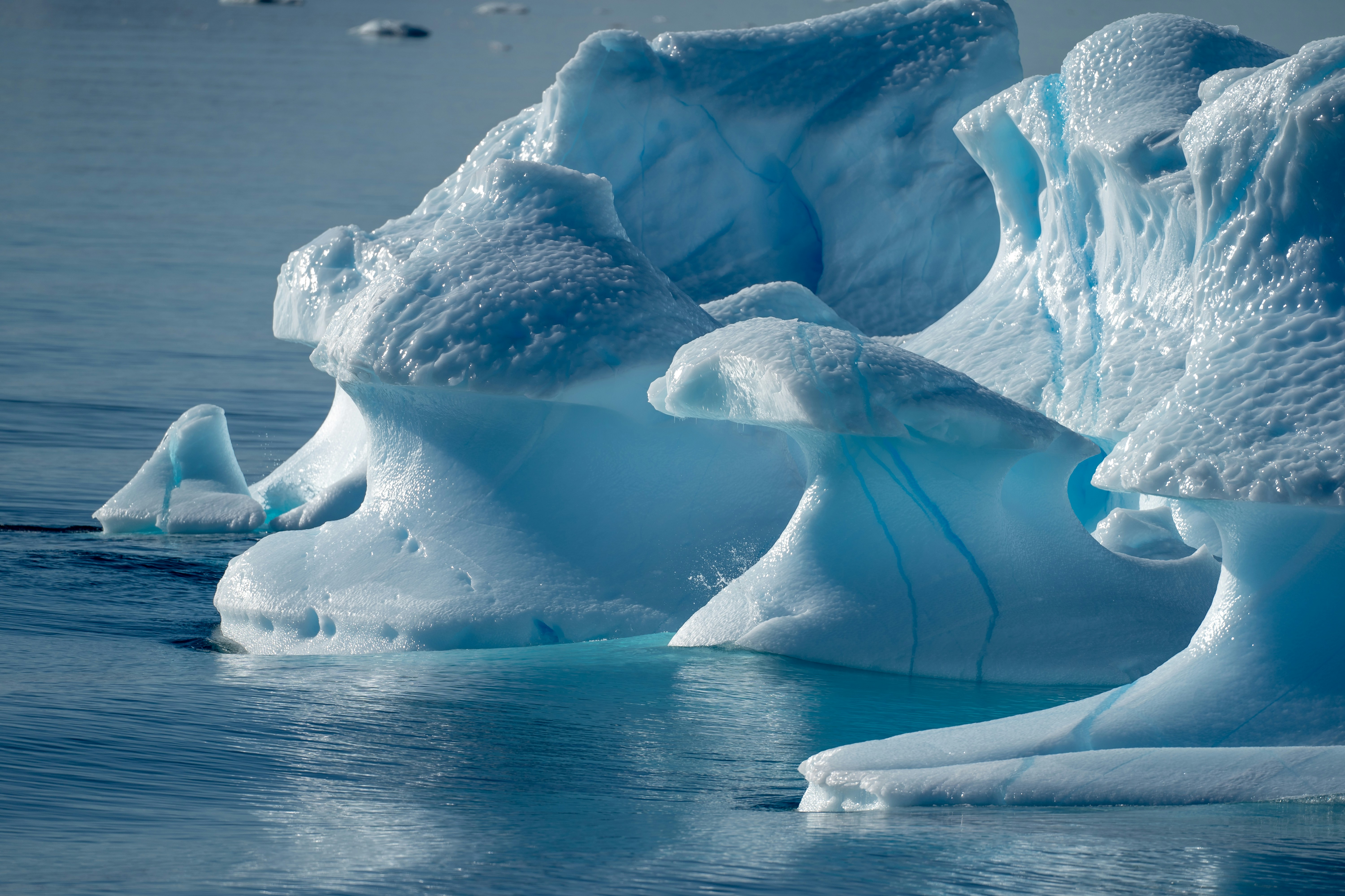 Foto zum Thema Eine Gruppe von Eisbergen, die auf einem Gewässer