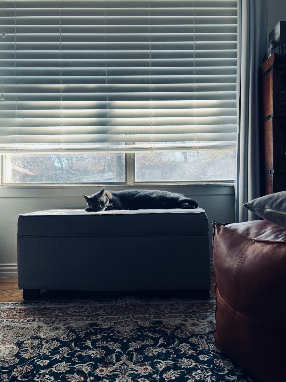 a cat laying on top of a ottoman in front of a window