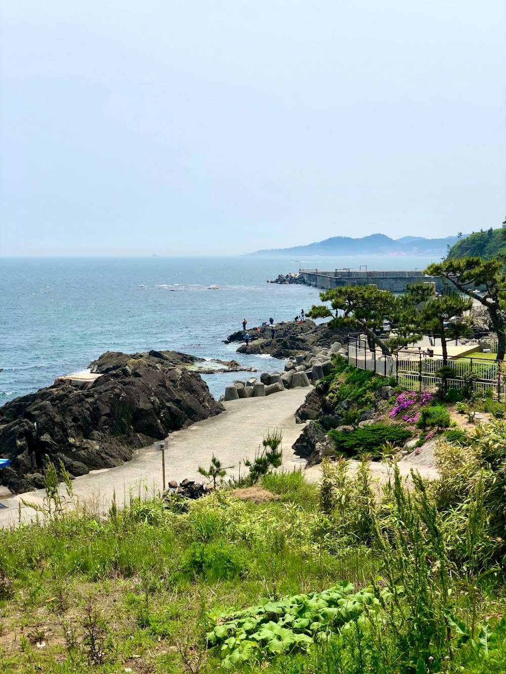 a view of the ocean from the top of a hill