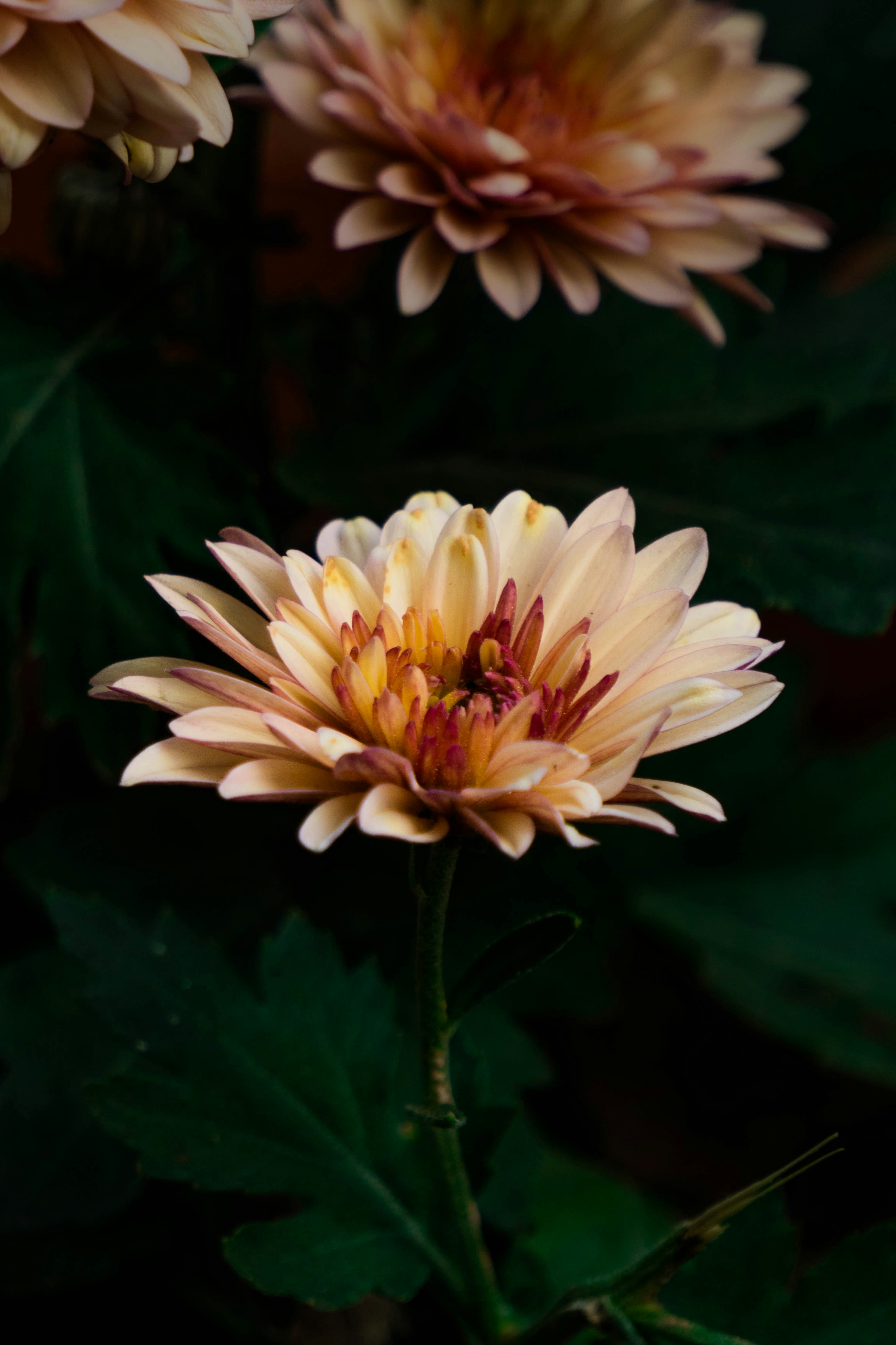 Photo by pranav1124