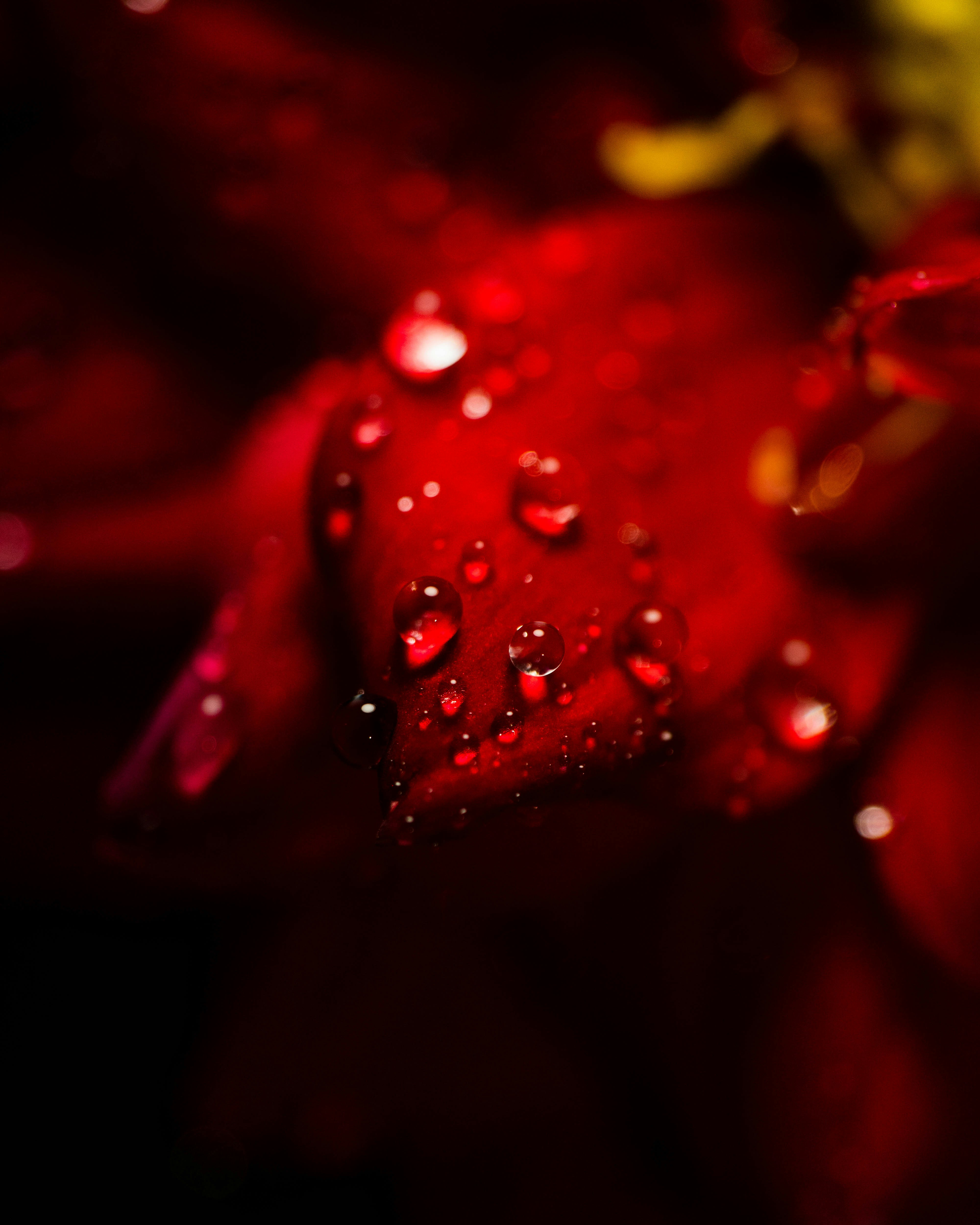 Photo by pranav1124