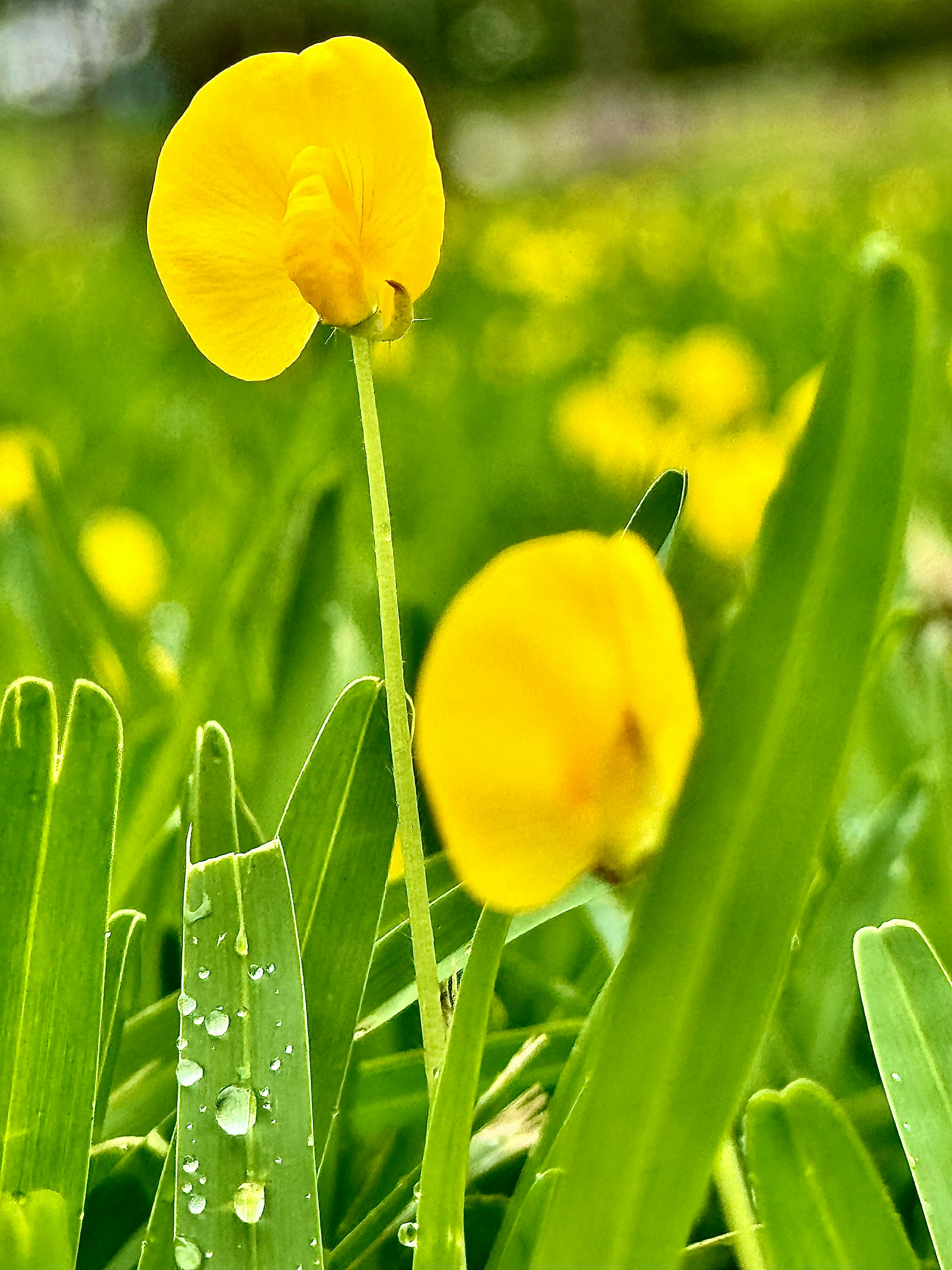 Photo by jonathan_moreira