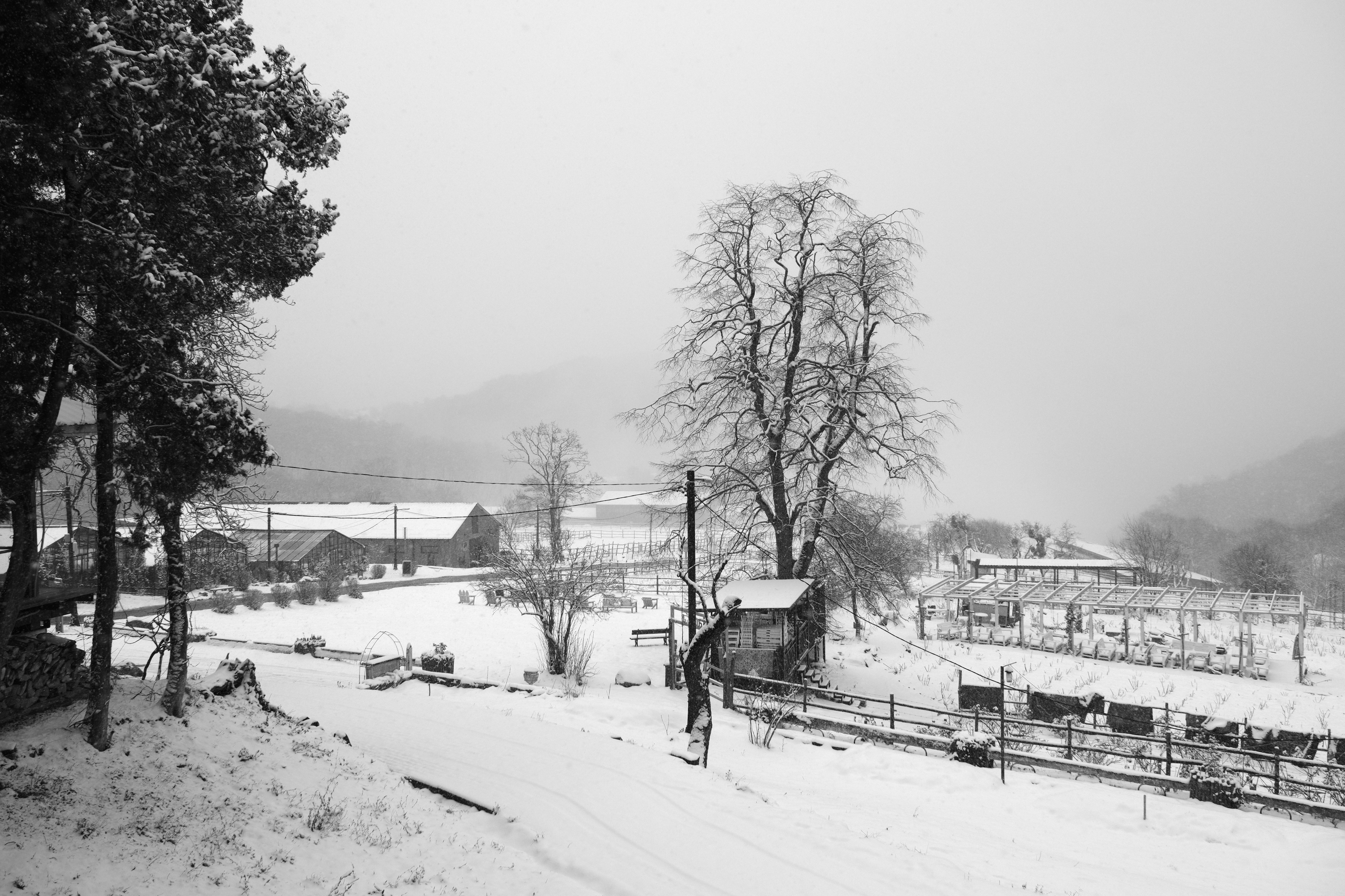 a black and white photo of a snowy landscape, 