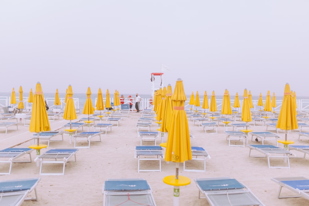 a bunch of chairs and umbrellas on a beach