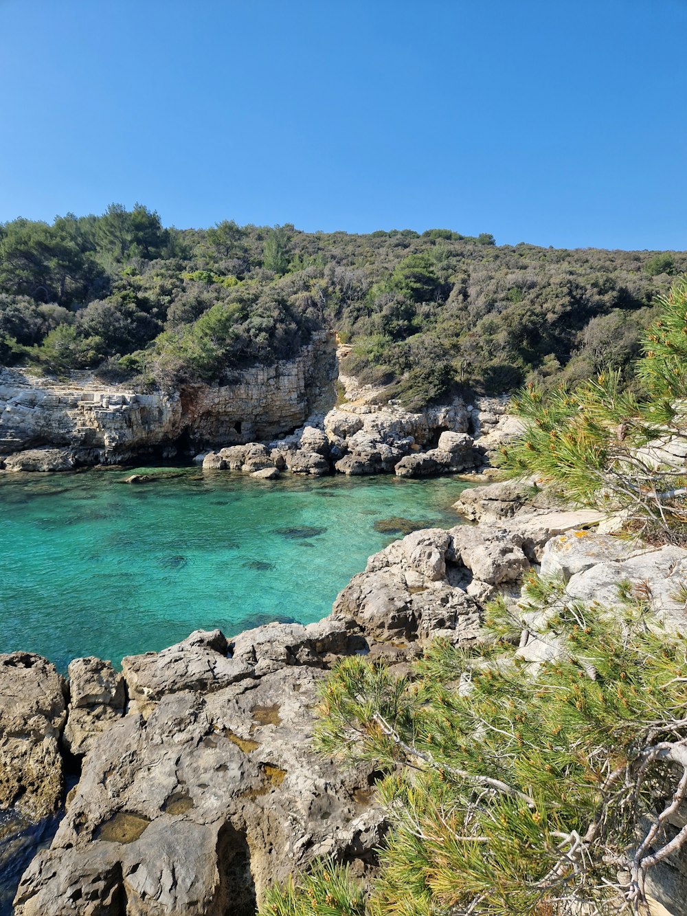 a body of water surrounded by rocks and trees