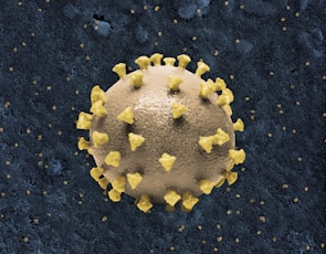 a corona corona with yellow stars on it