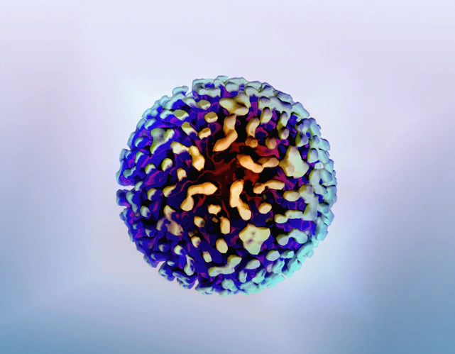 a close up of a blue and yellow object