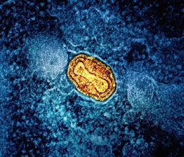 a yellow substance on a blue surface