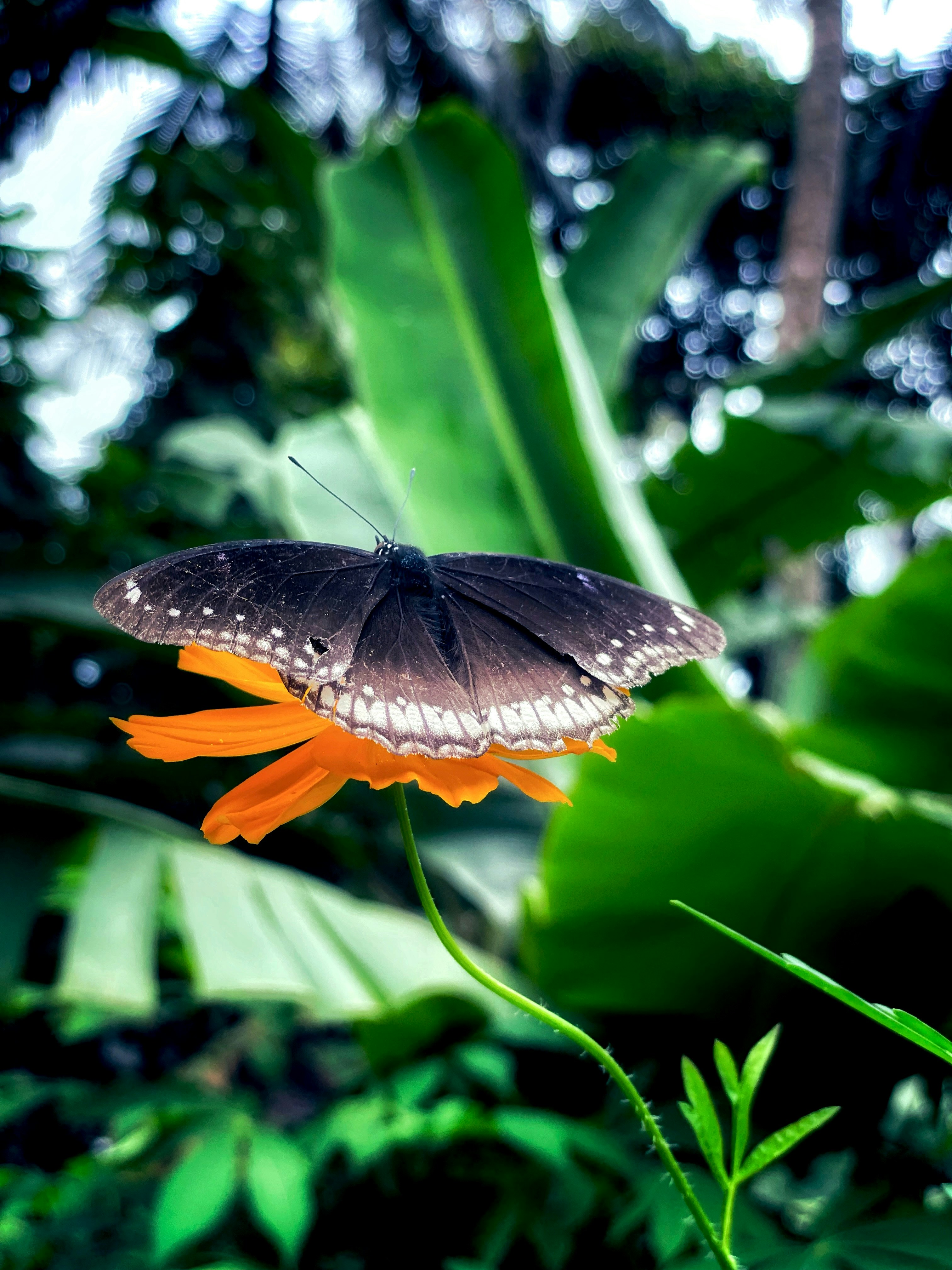 Photo by junaidkkl