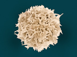 a close up of a white substance on a blue background