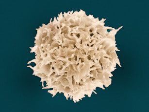 a close up of a white substance on a blue background
