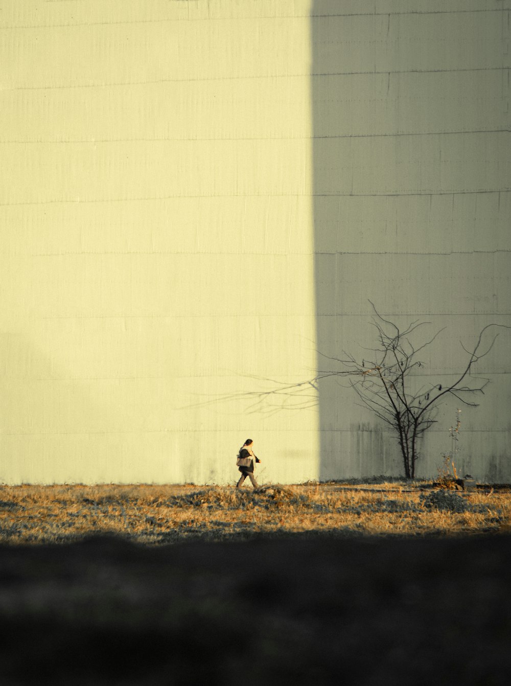 a person walking in a field near a building