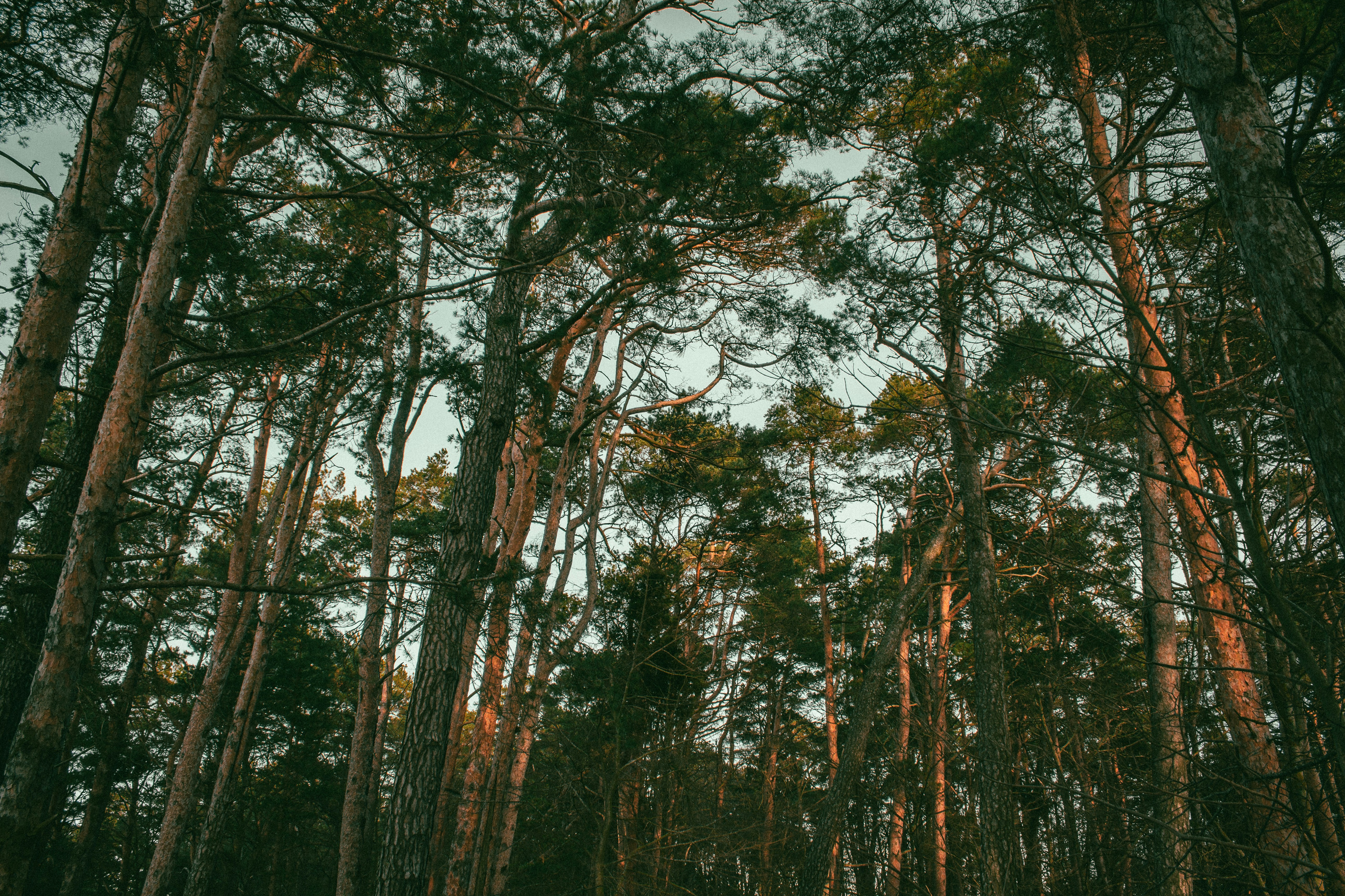 Photo by maximyuryshev