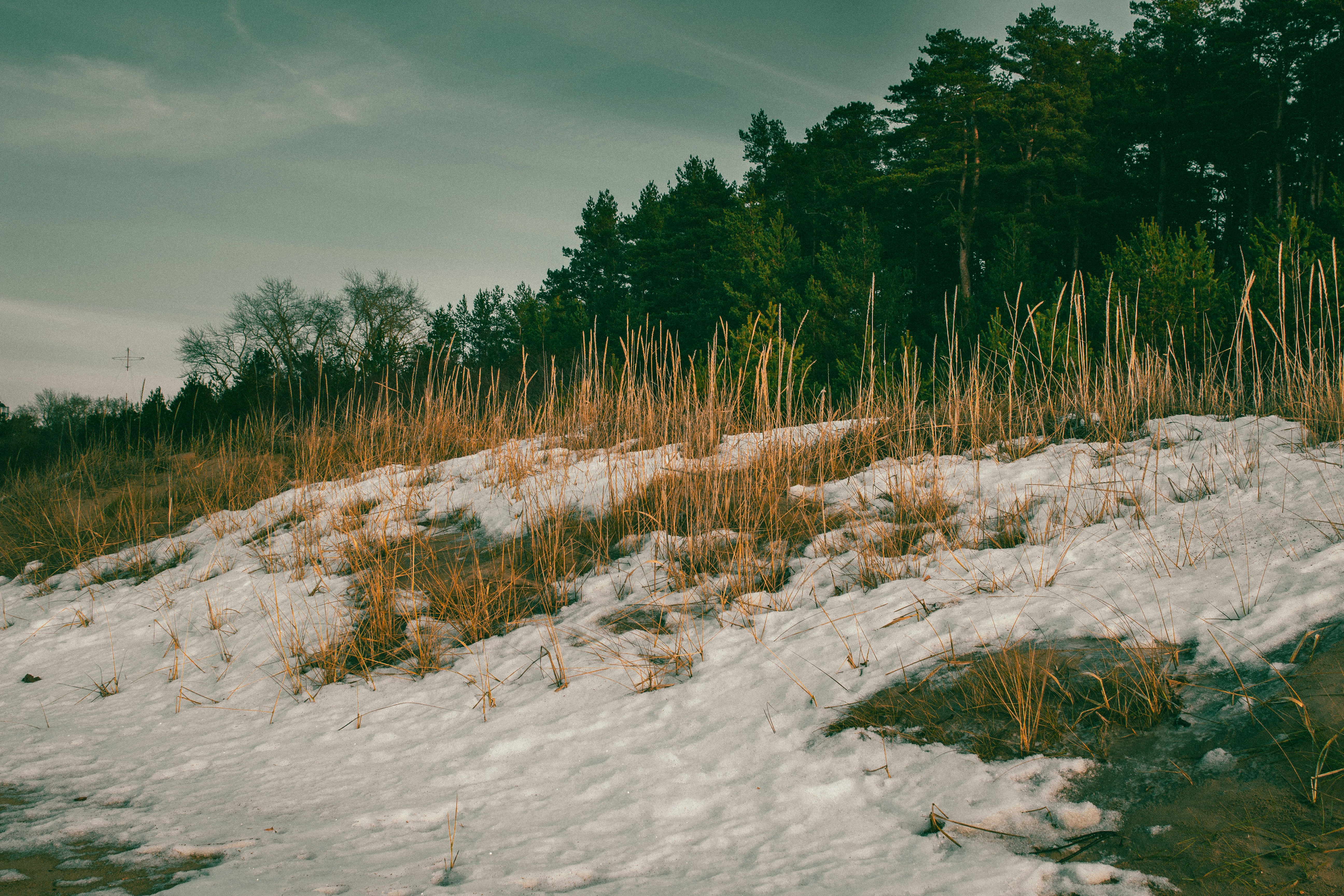 Photo by maximyuryshev