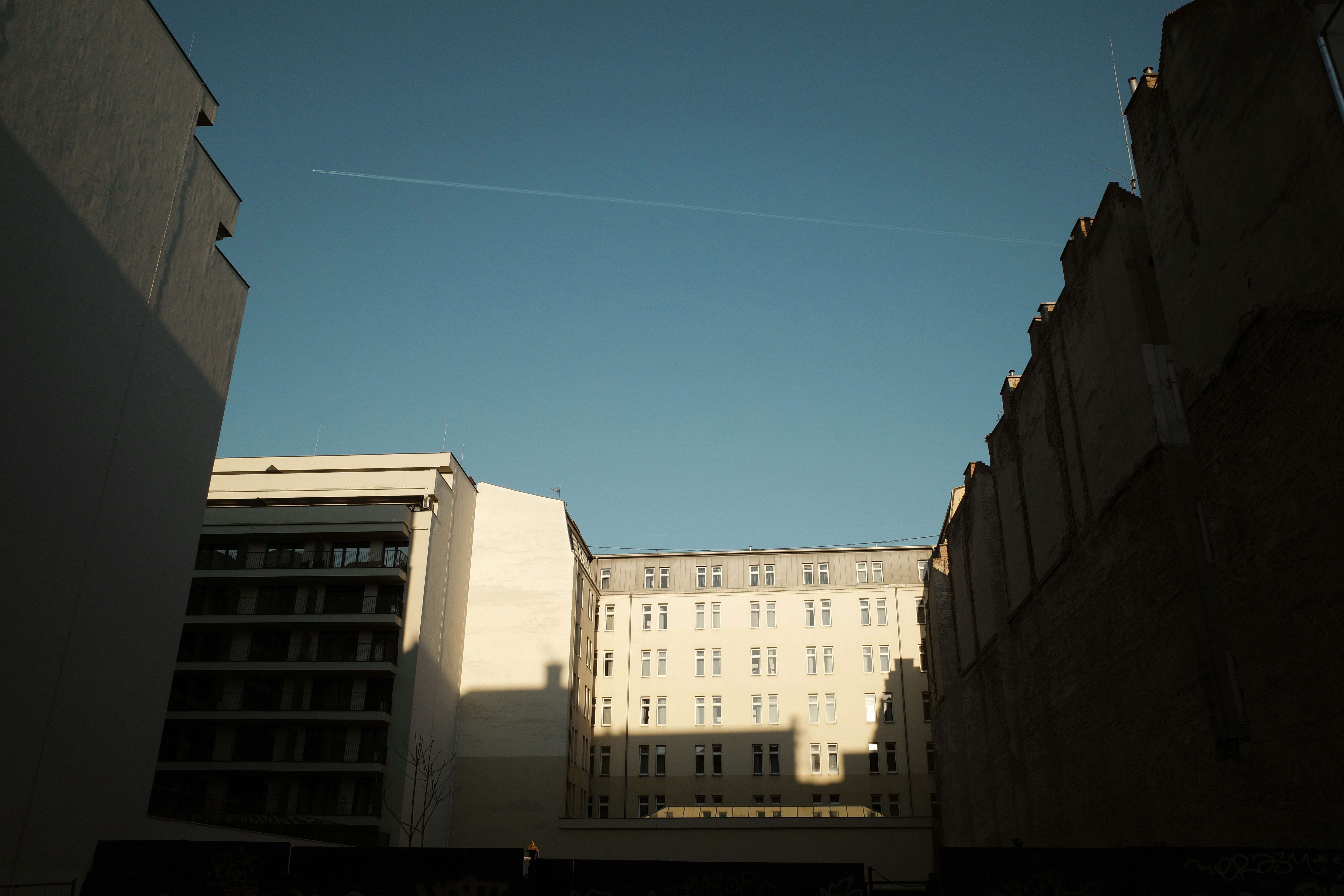 Photo by stachmann
