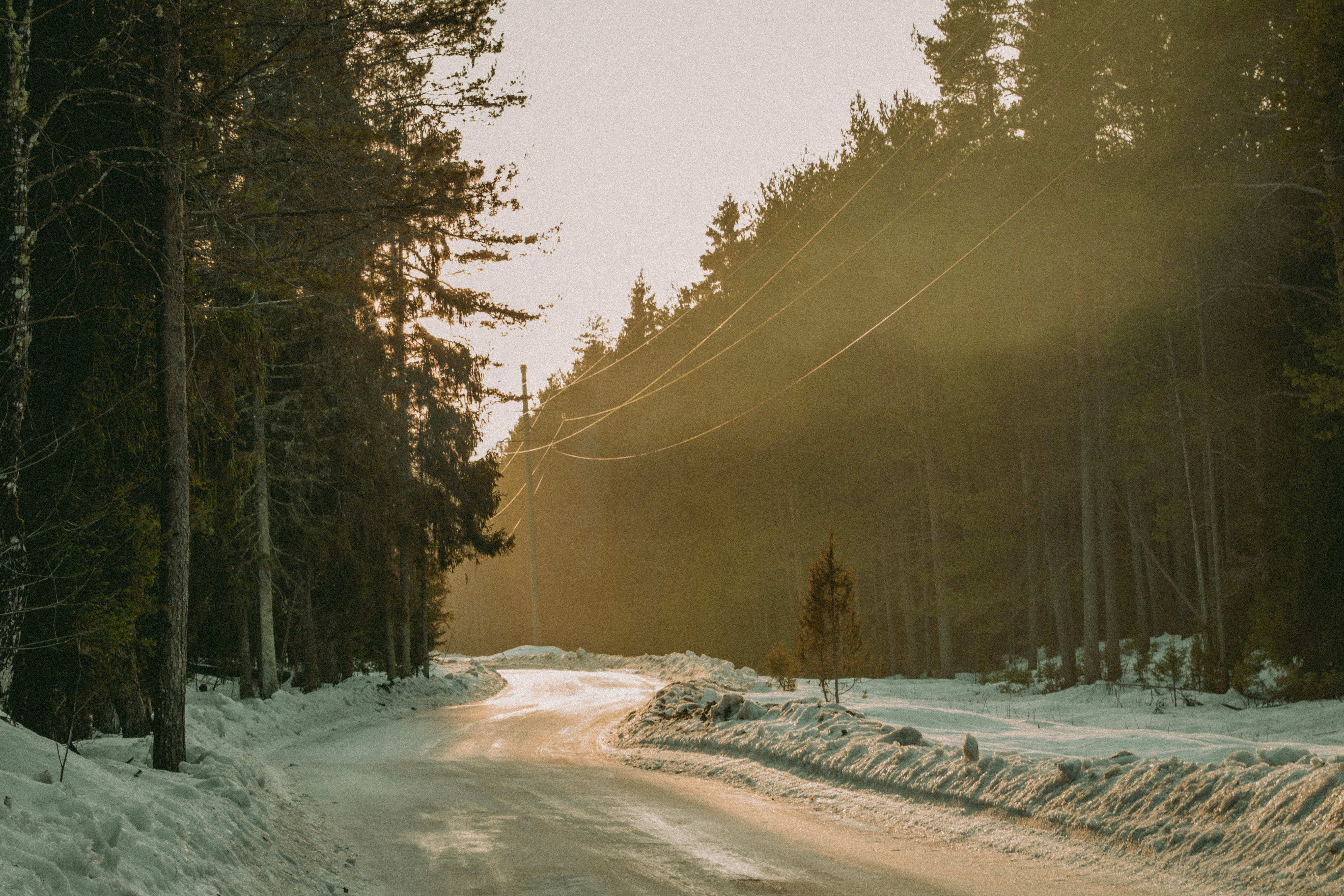 Photo by maximyuryshev