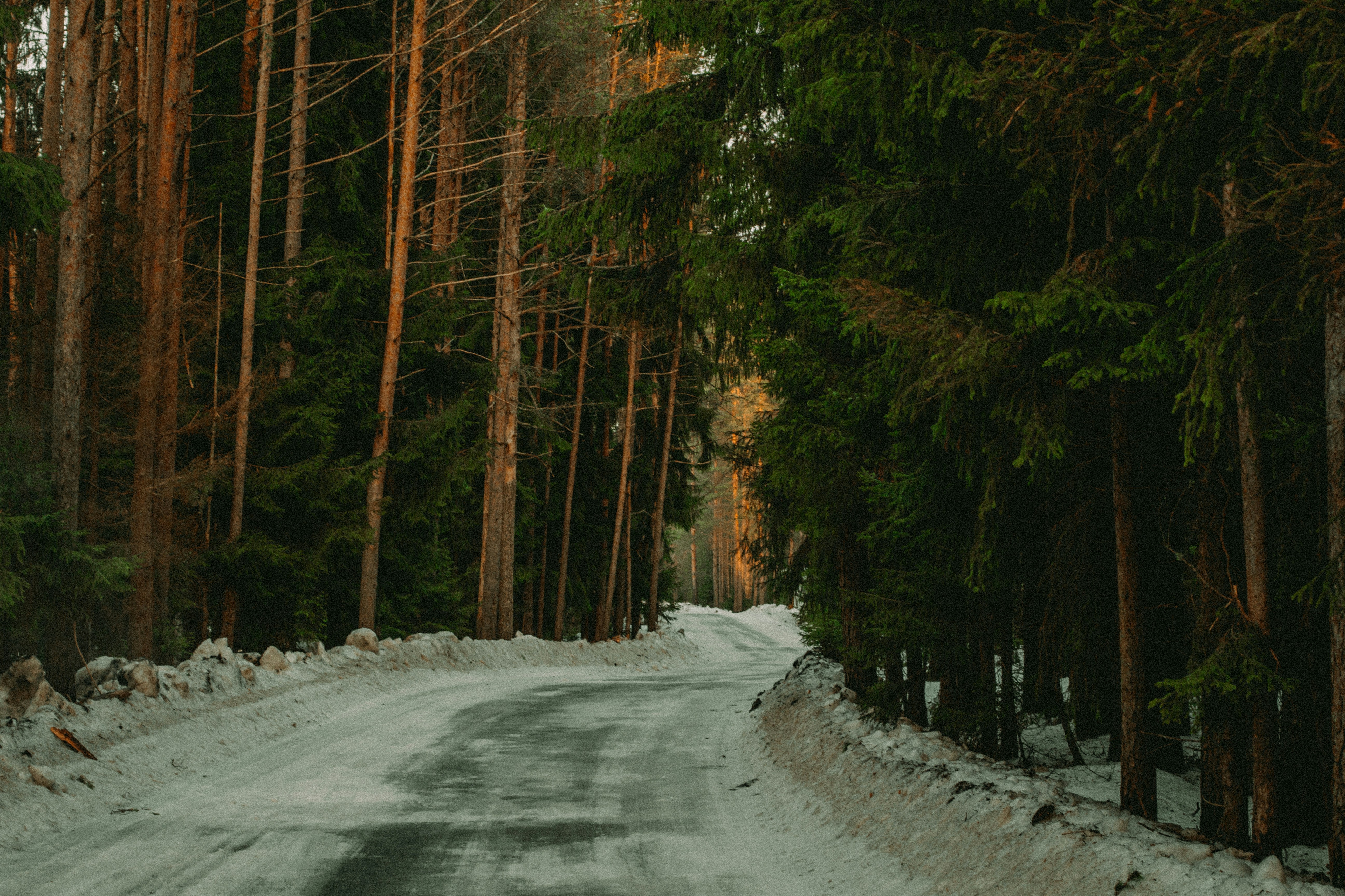 Photo by maximyuryshev