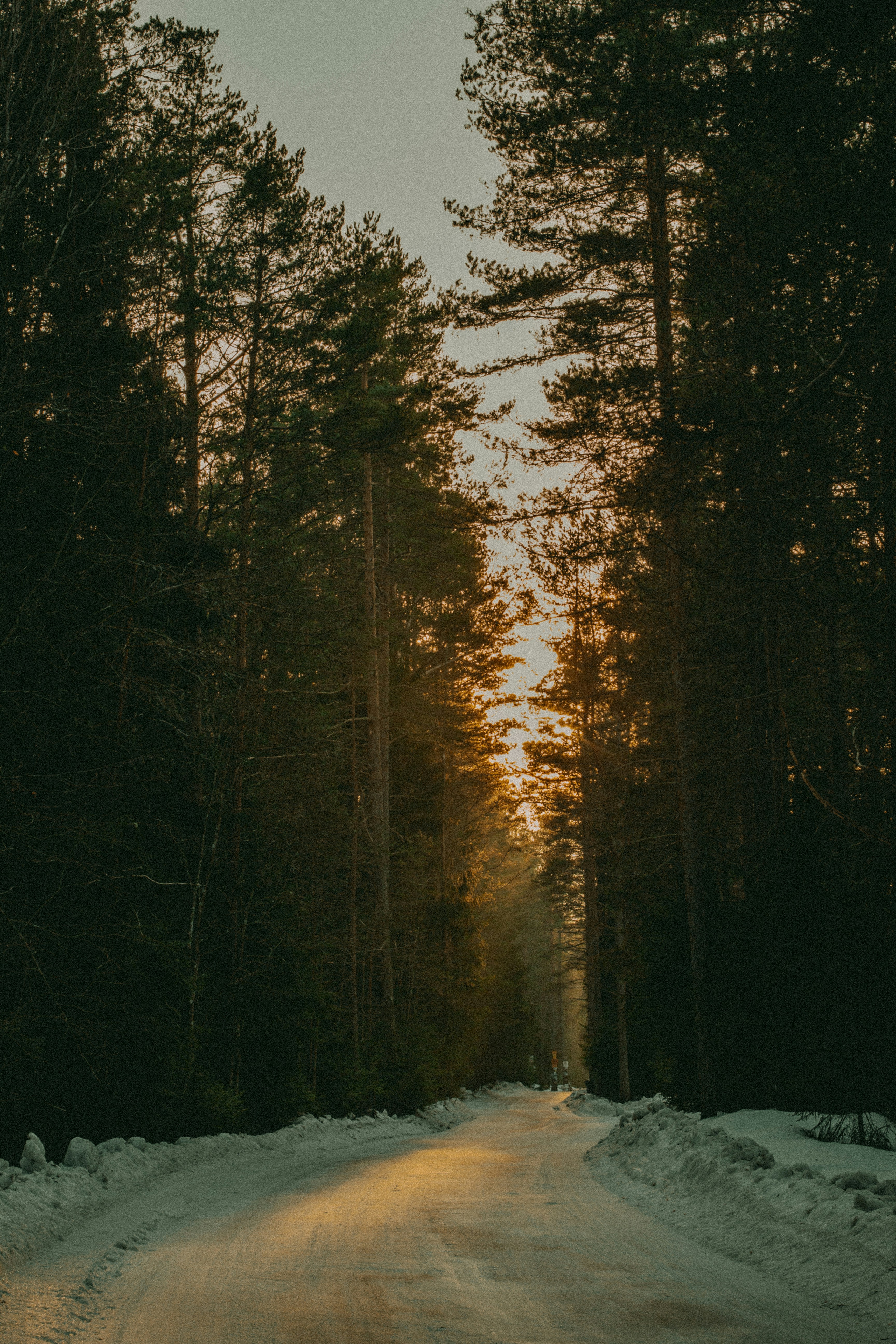 Photo by maximyuryshev