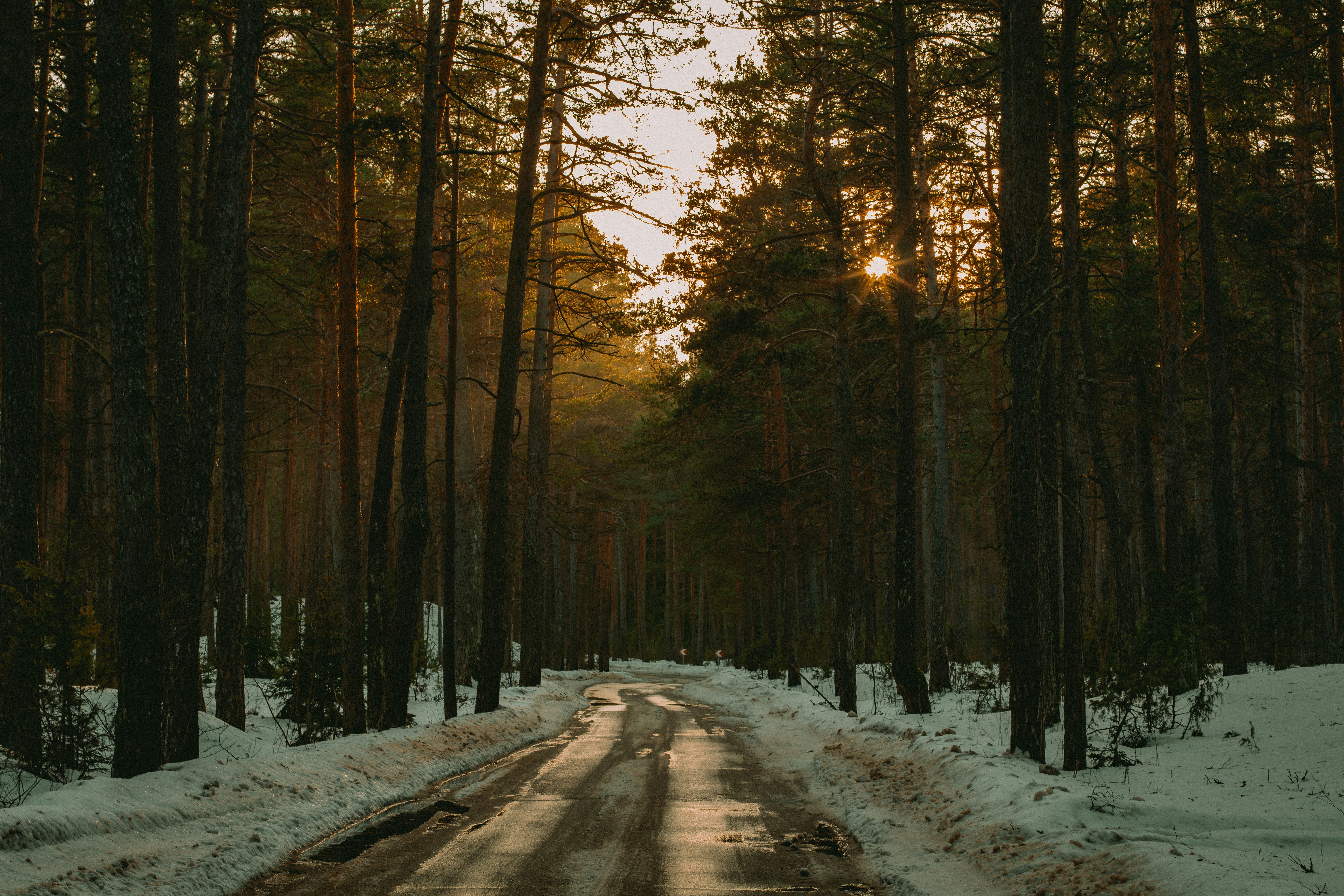 Photo by maximyuryshev