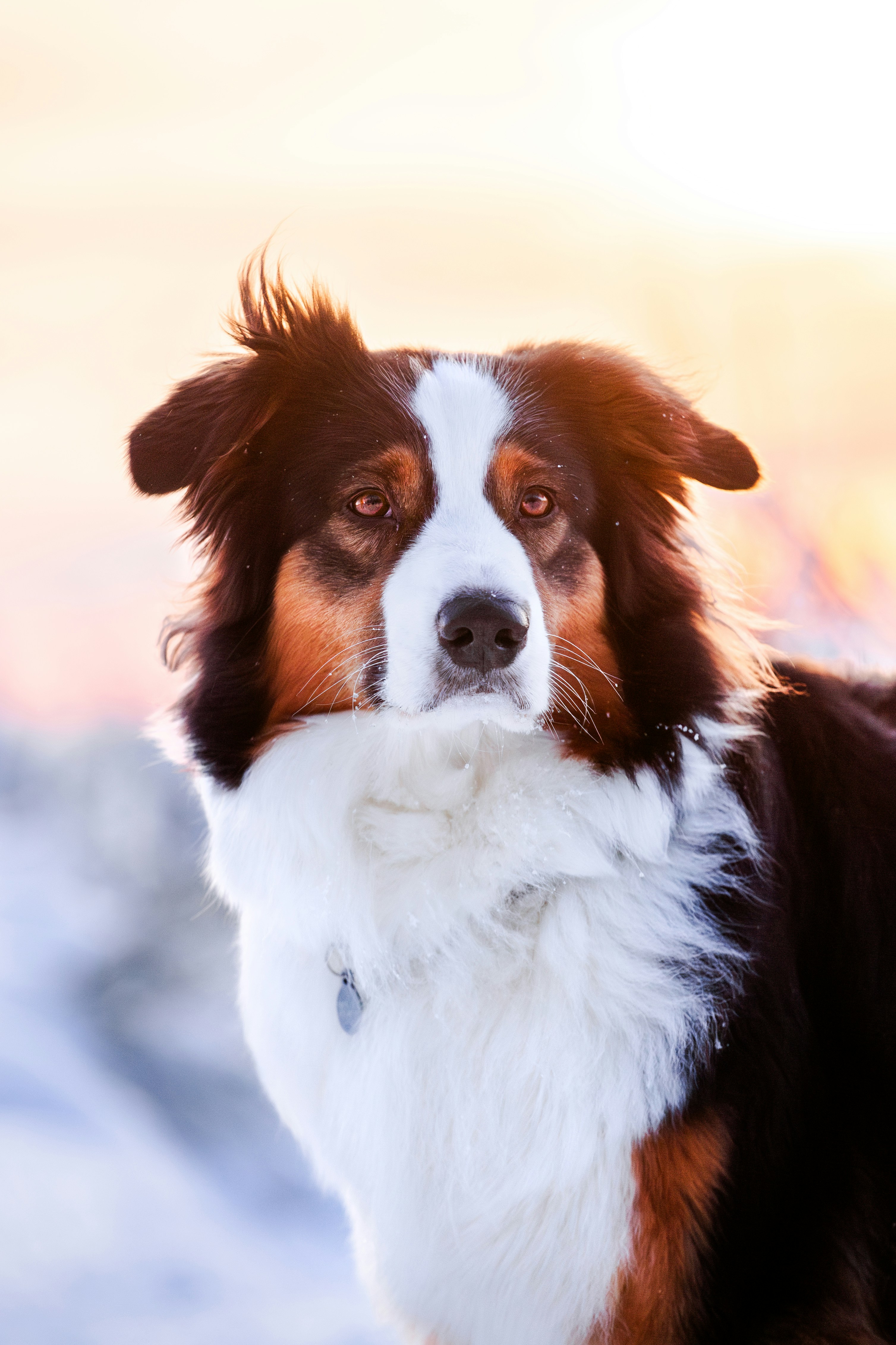 Photo by eliasderksen_photos