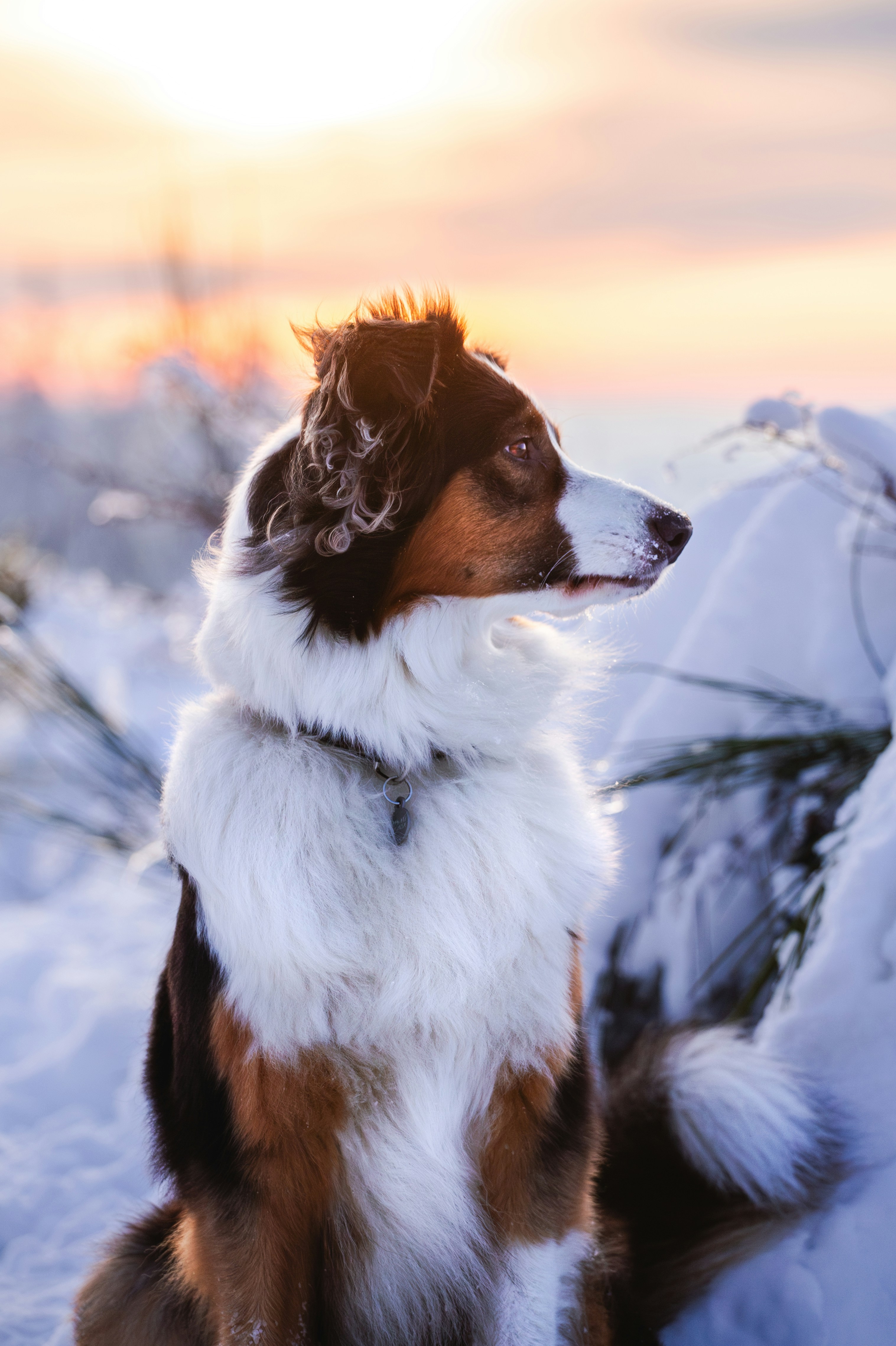 Photo by eliasderksen_photos