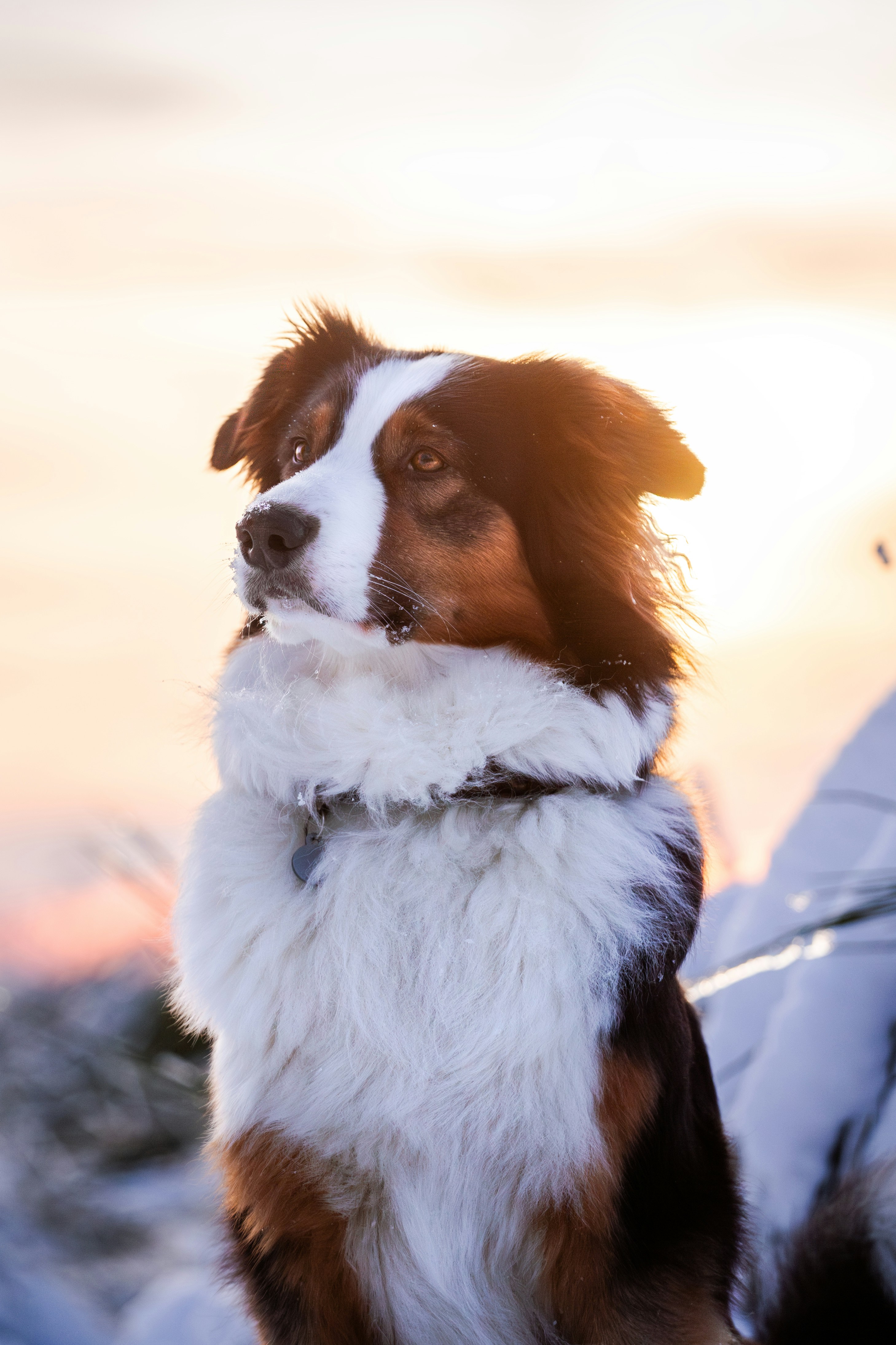 Photo by eliasderksen_photos