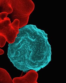 a red and blue substance in a black background