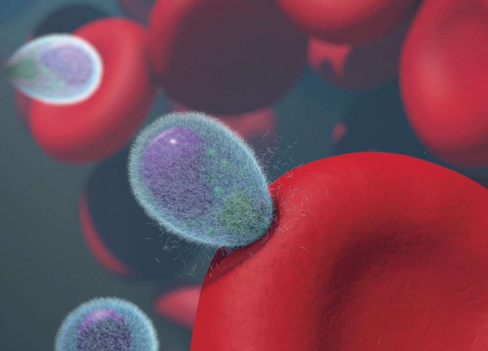 um grupo de glóbulos vermelhos e azuis