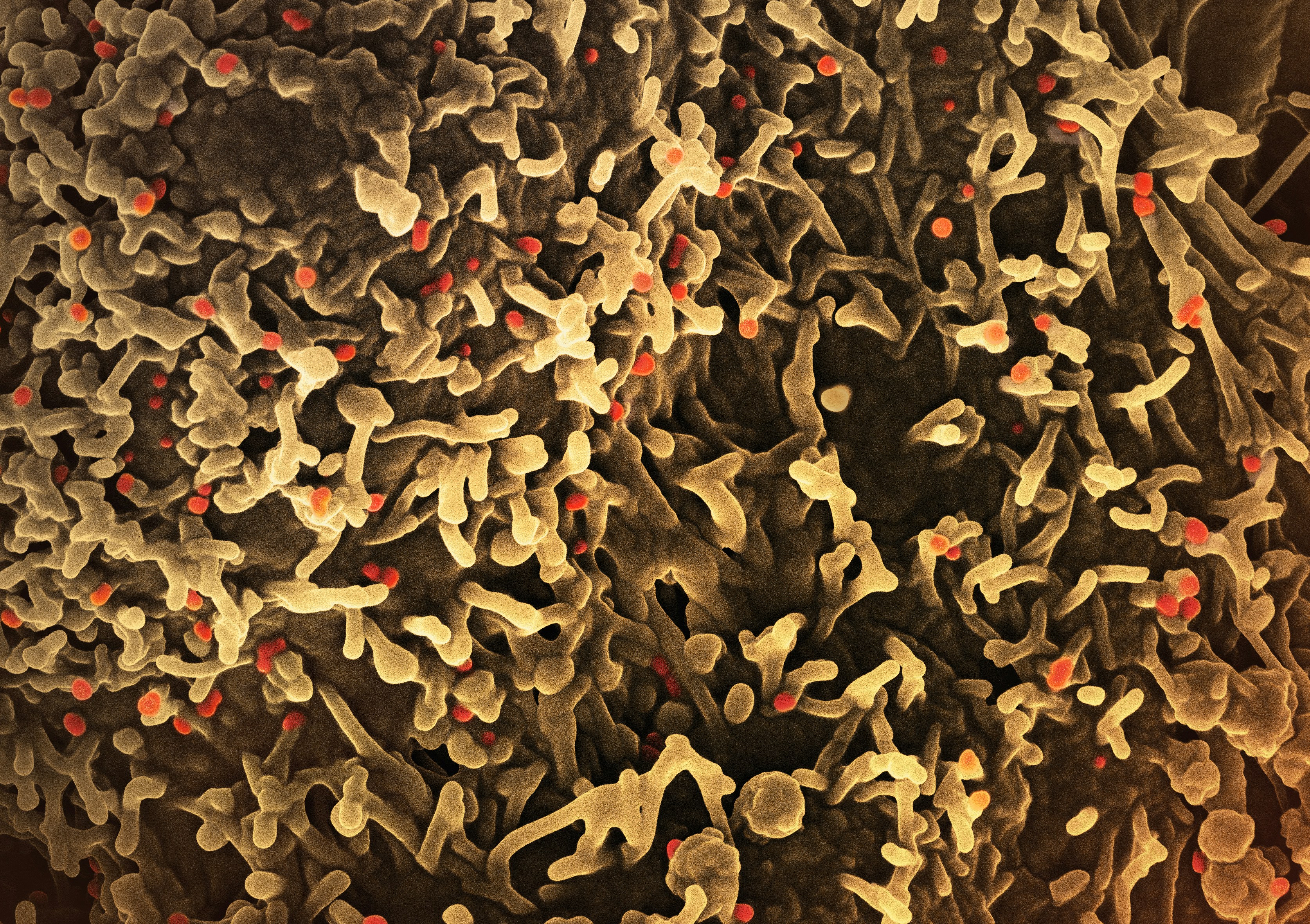 a close up of a cell phone with red dots on it