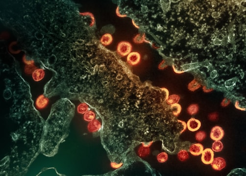 a close up view of a cell phone