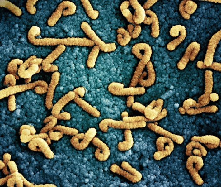 Kako prepoznati i liječiti Helicobacter pylori infekciju i želudačni ulkus: Simptomi, dijagnoza i terapija