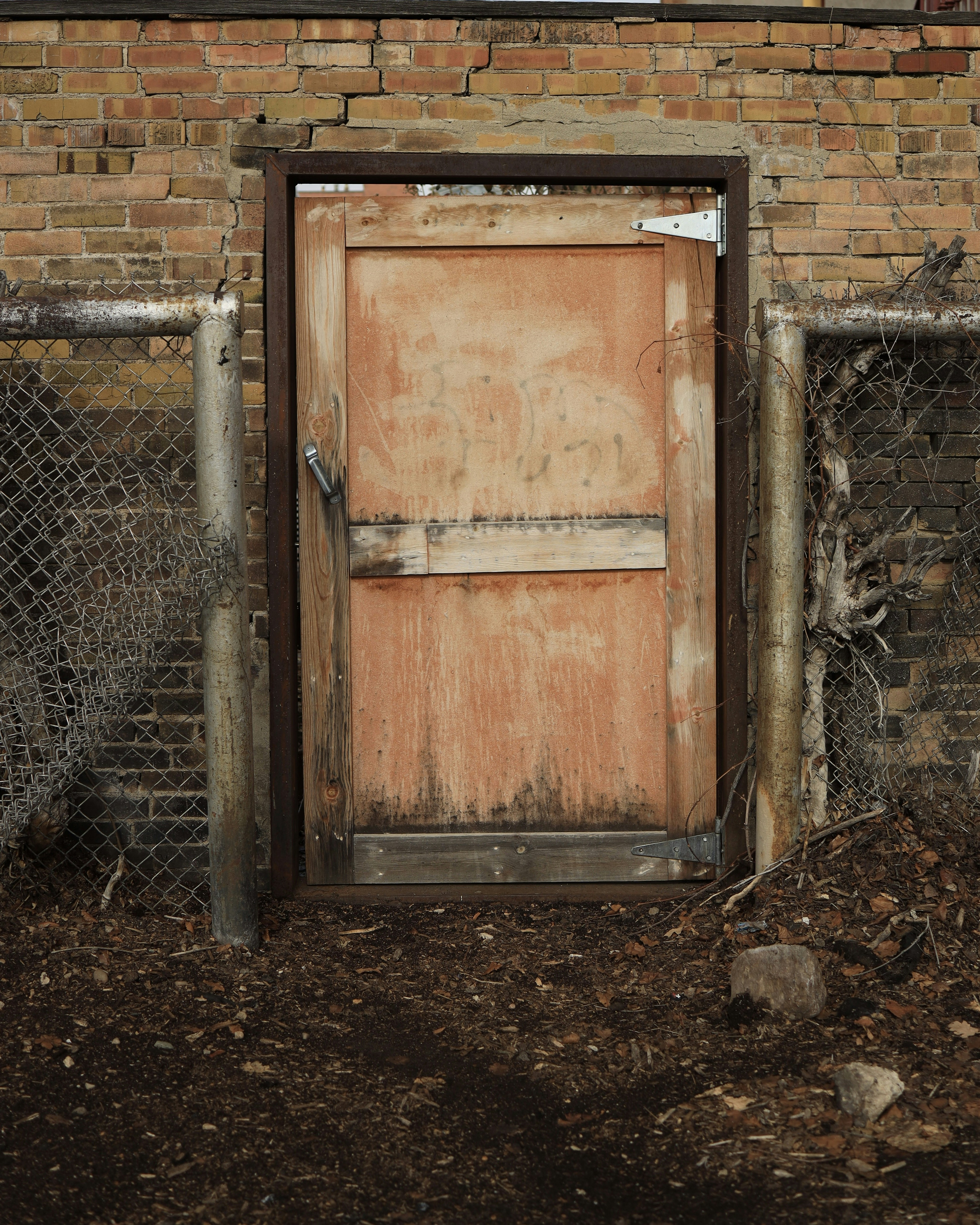 Photo by djburkephotography