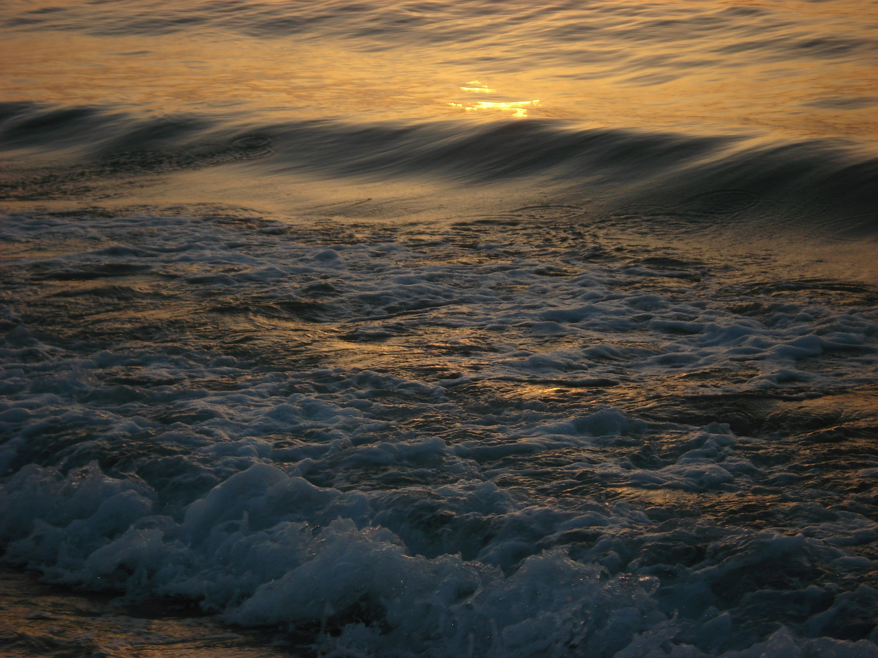 Photo by ajnaslenses