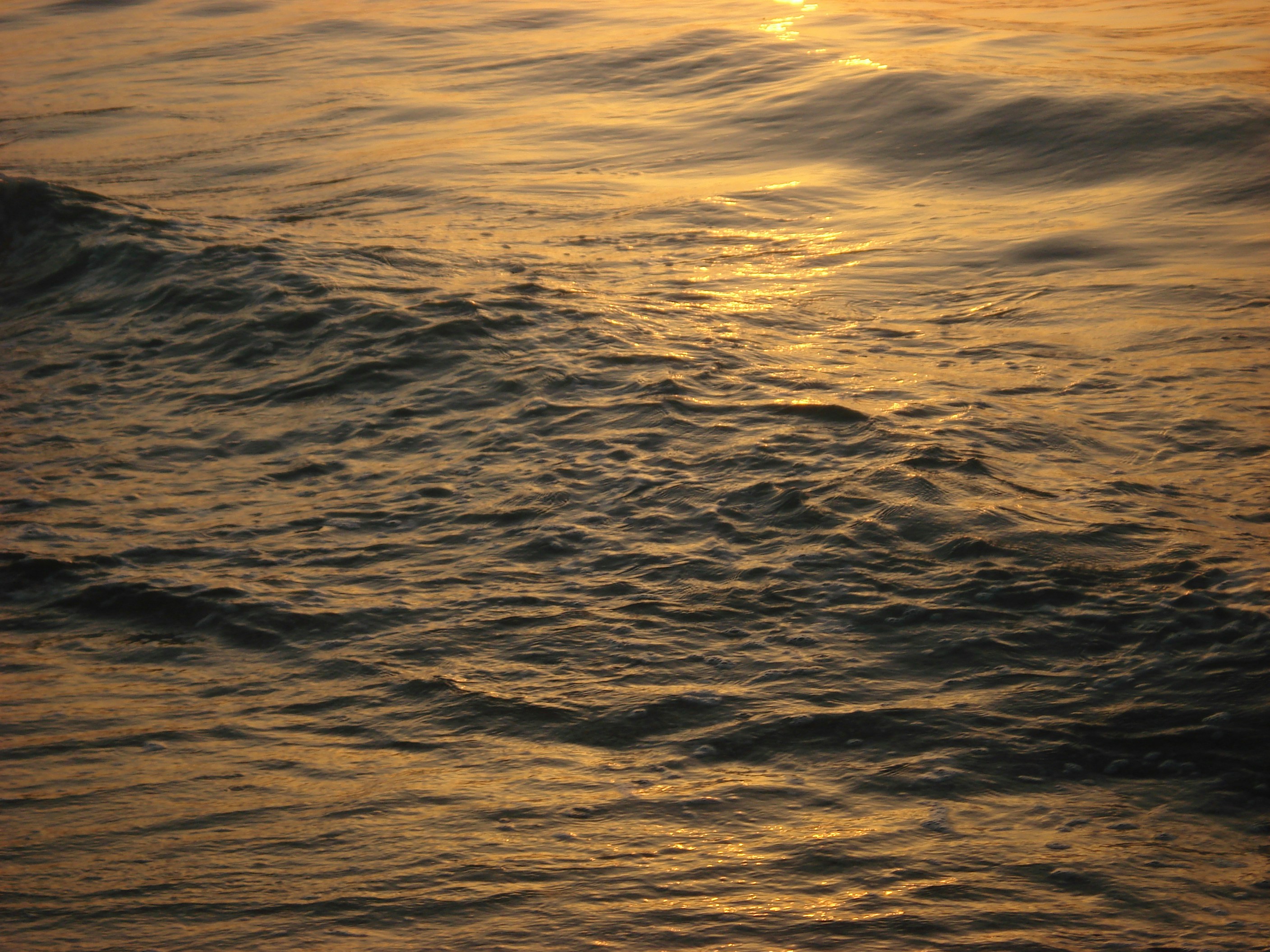 Photo by ajnaslenses