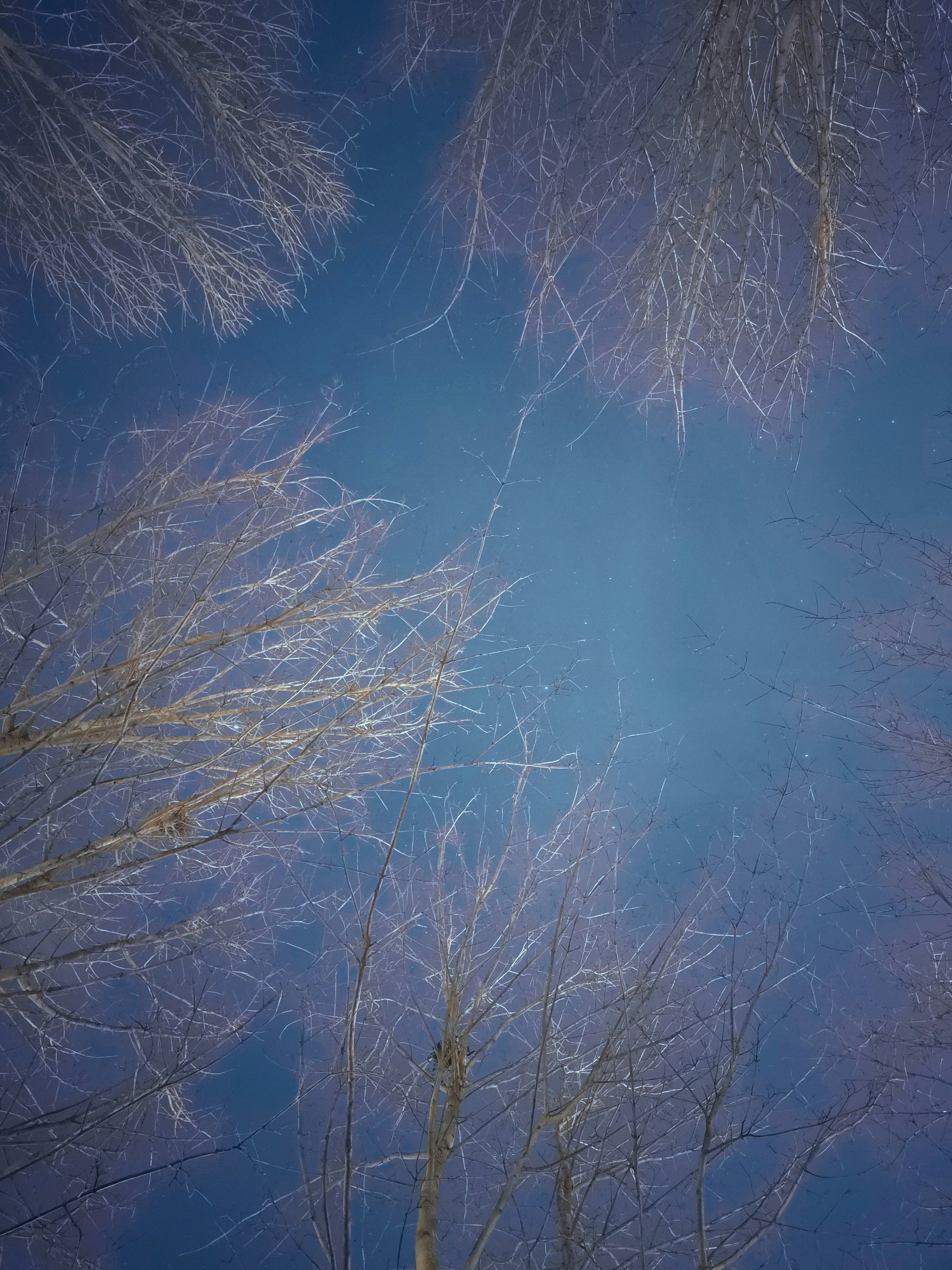 Photo by maxtweety90