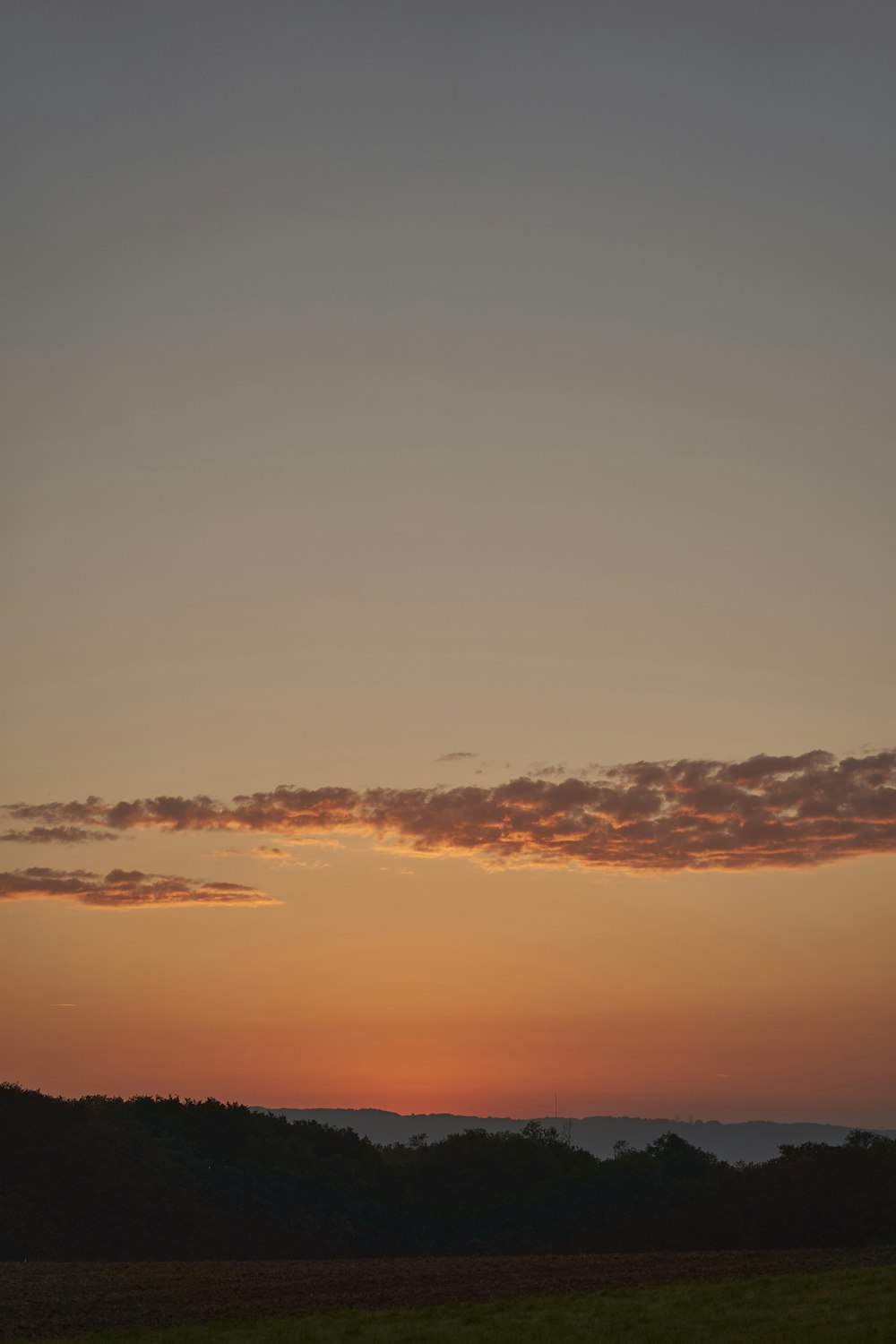 a plane flying in the sky at sunset