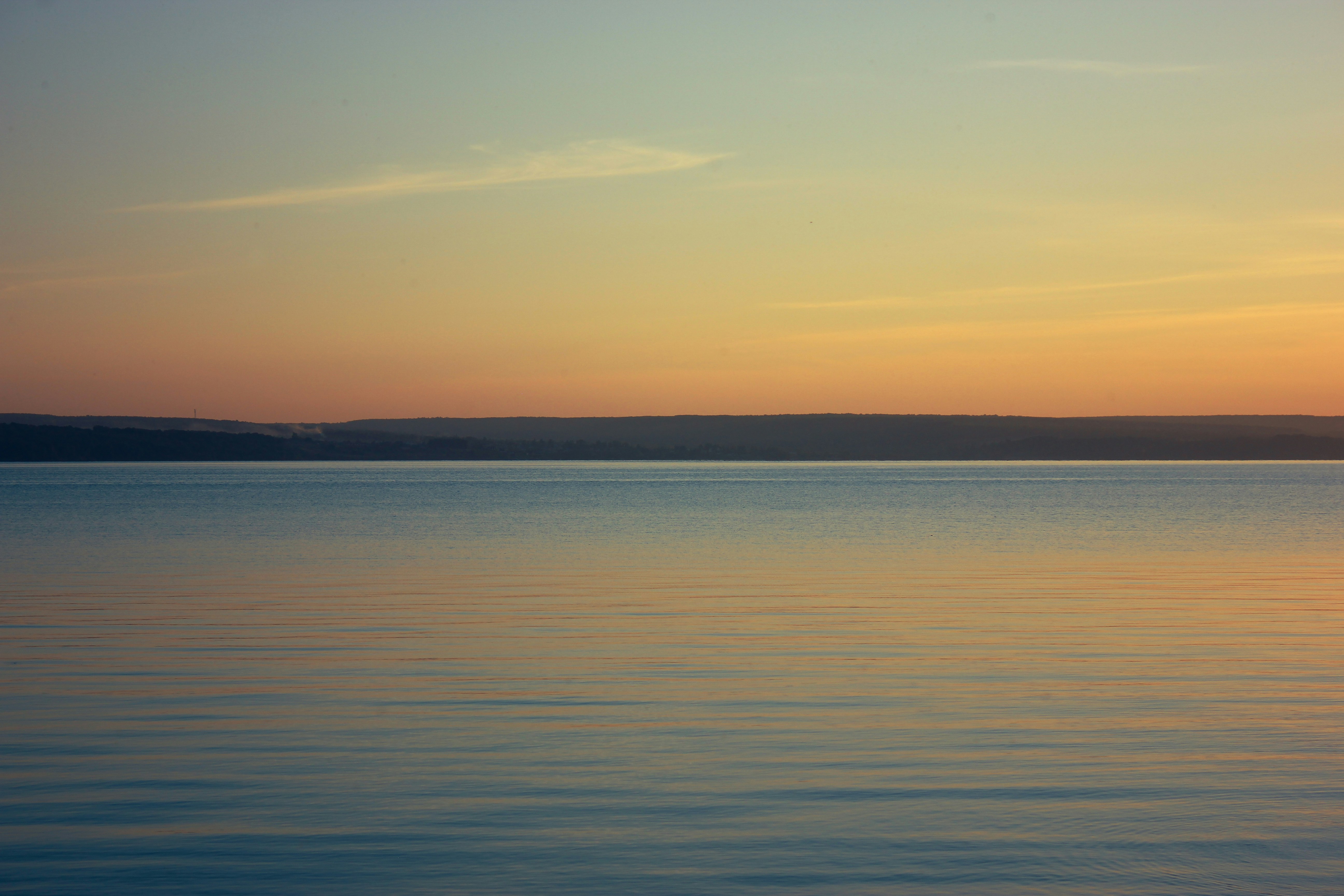 Photo by aloha_photopark