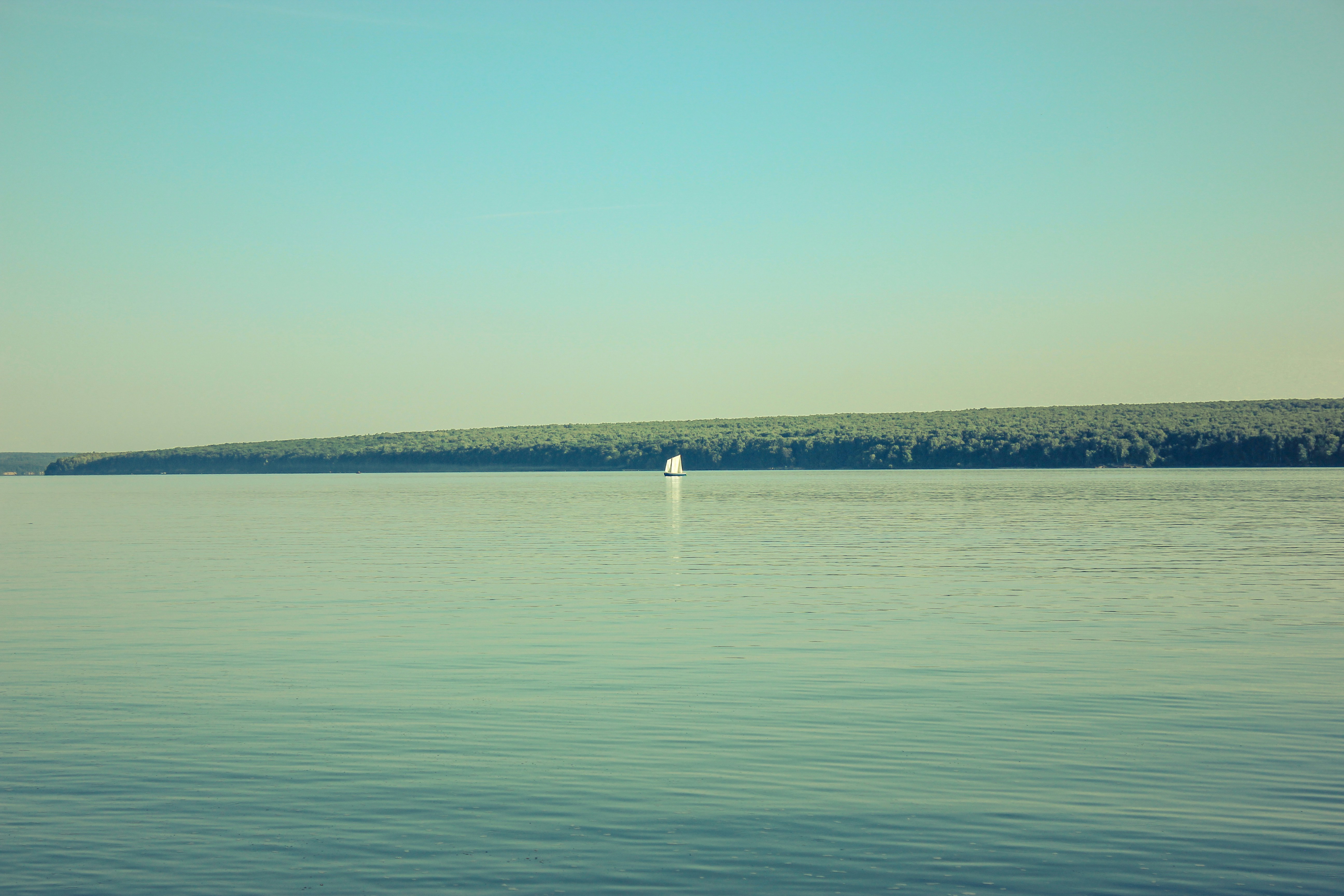 Photo by aloha_photopark