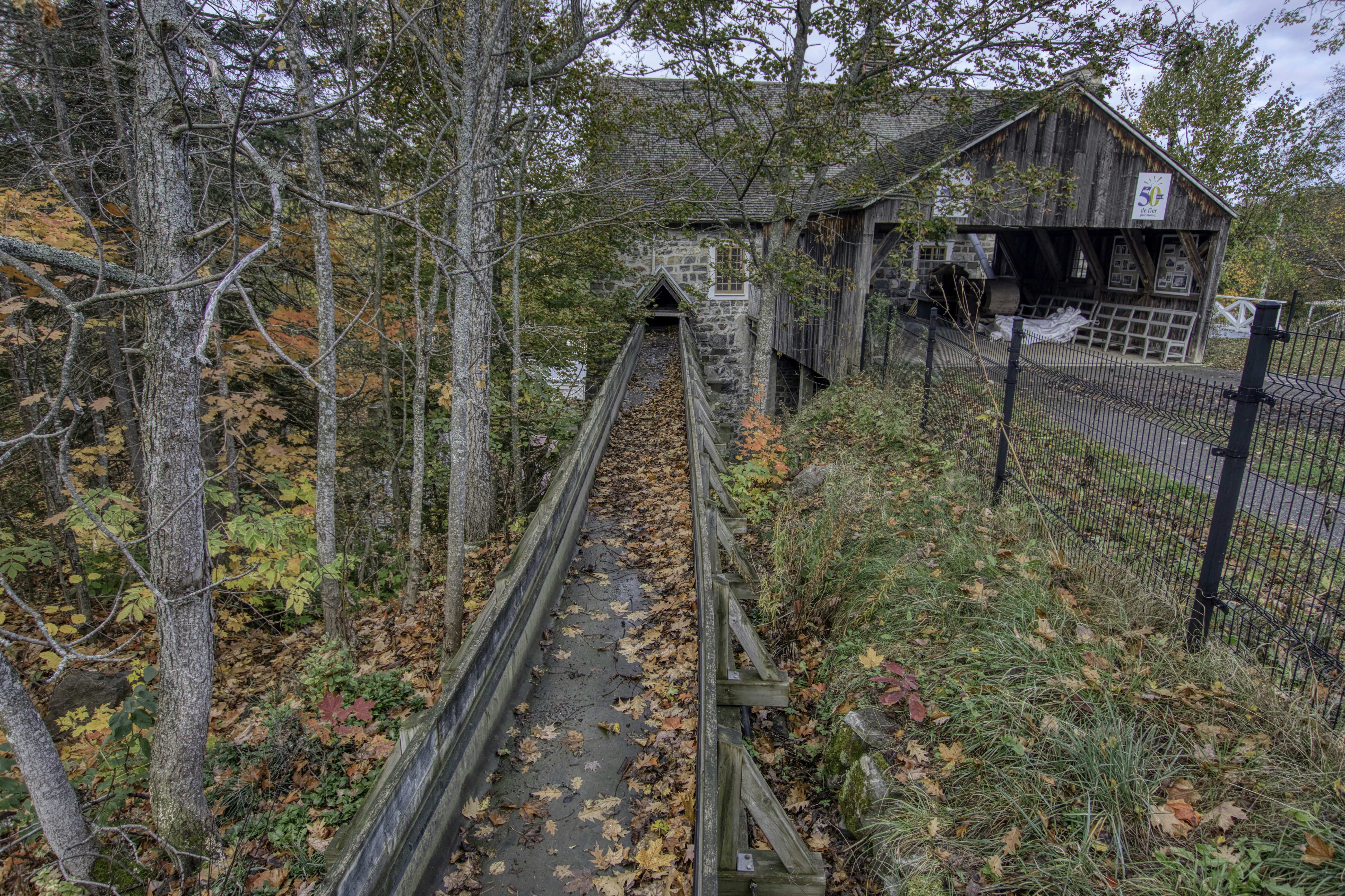 a train track going through a wooded area