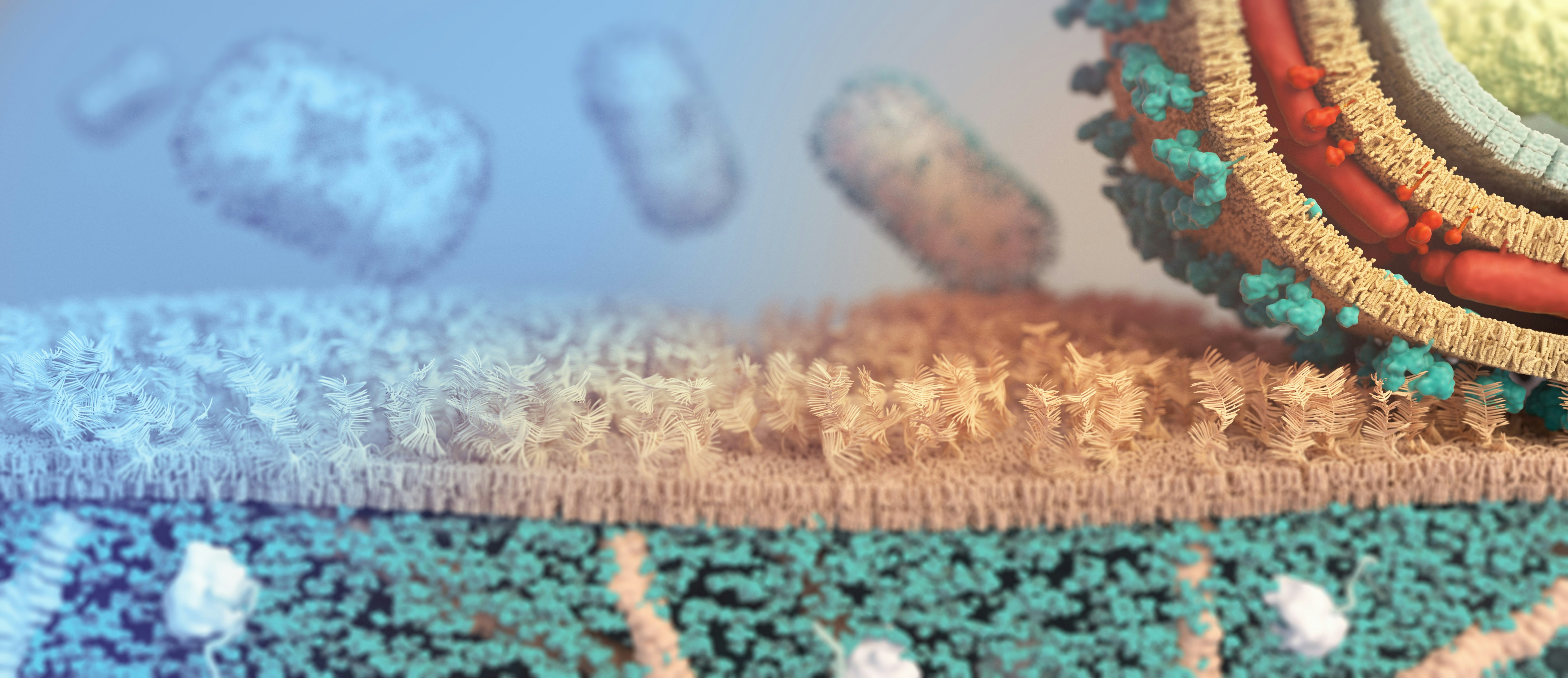 When Your Gut Is the Battlefield: How Parasitic Infections Sabotage Microbiome Health From the Inside Out