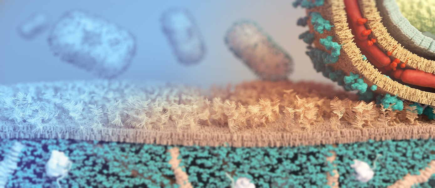 Virus boginja majmuna: simptomi, prenošenje i efikasna preventiva vakcinom