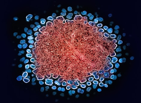 a close up of a red and blue cell