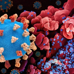 a close up of a blue and red corona corona