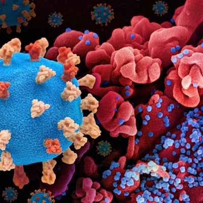 a close up of a blue and red corona corona