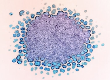 a purple and blue substance is surrounded by blue dots