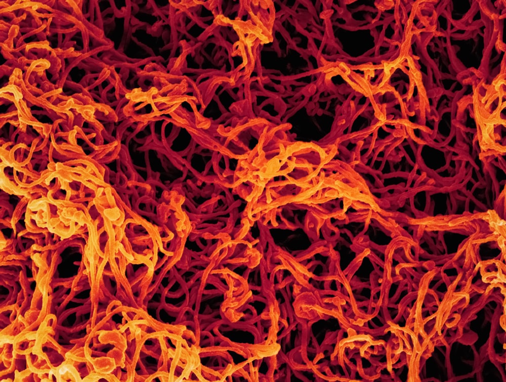 a close up of a red and yellow substance