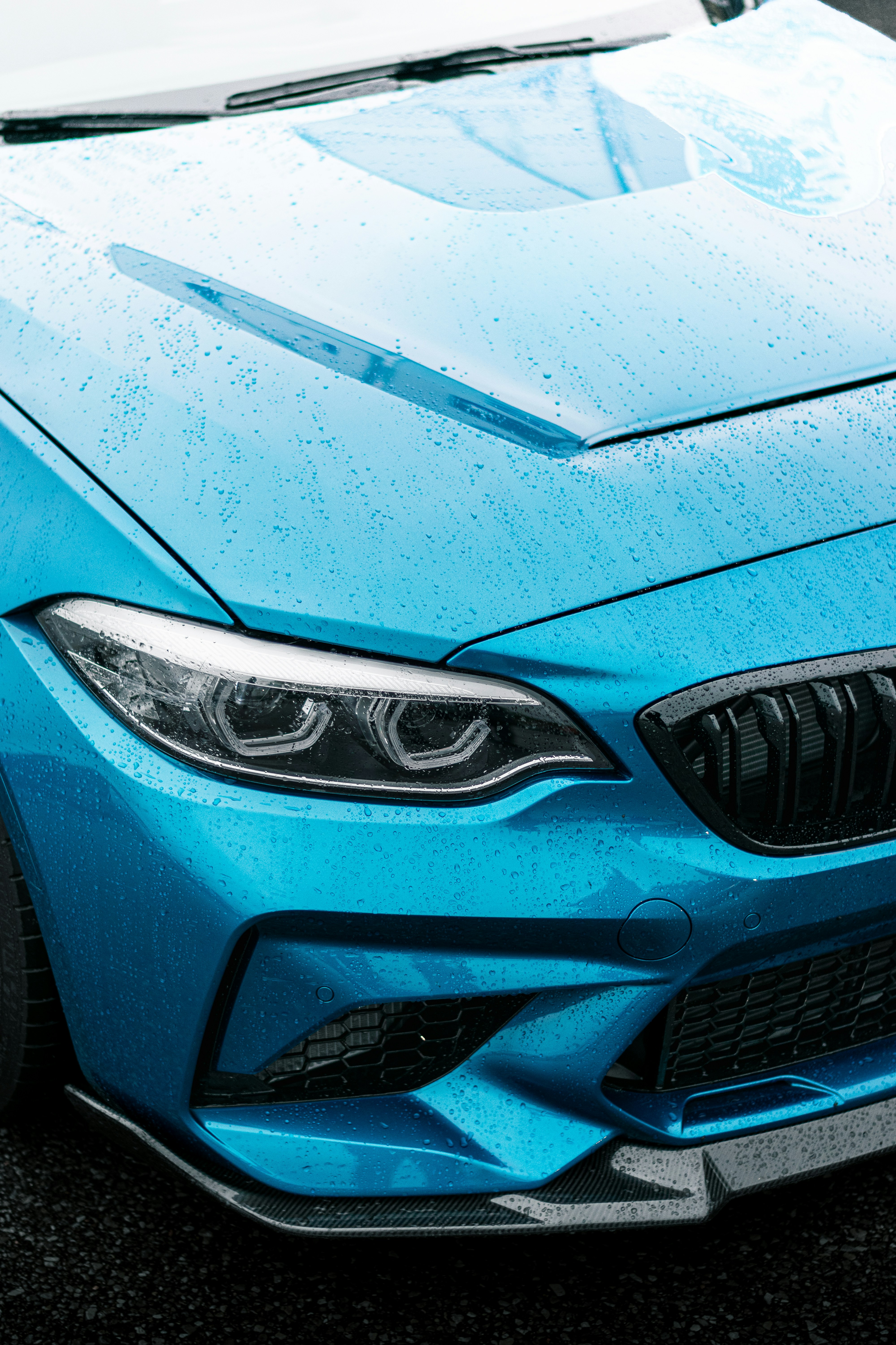 Photo by alisedighmoghadam