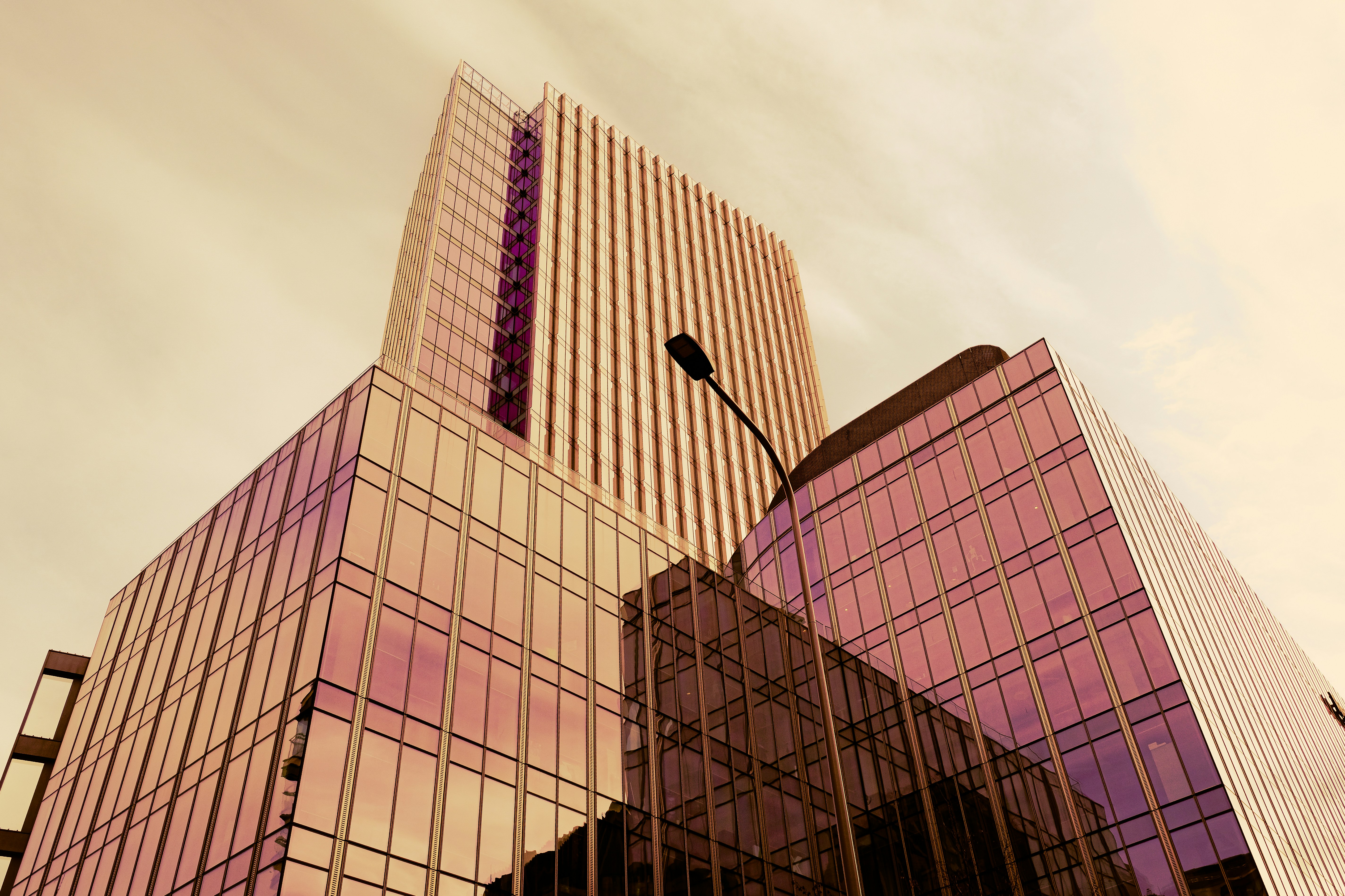 Photo by alina_matsiavina